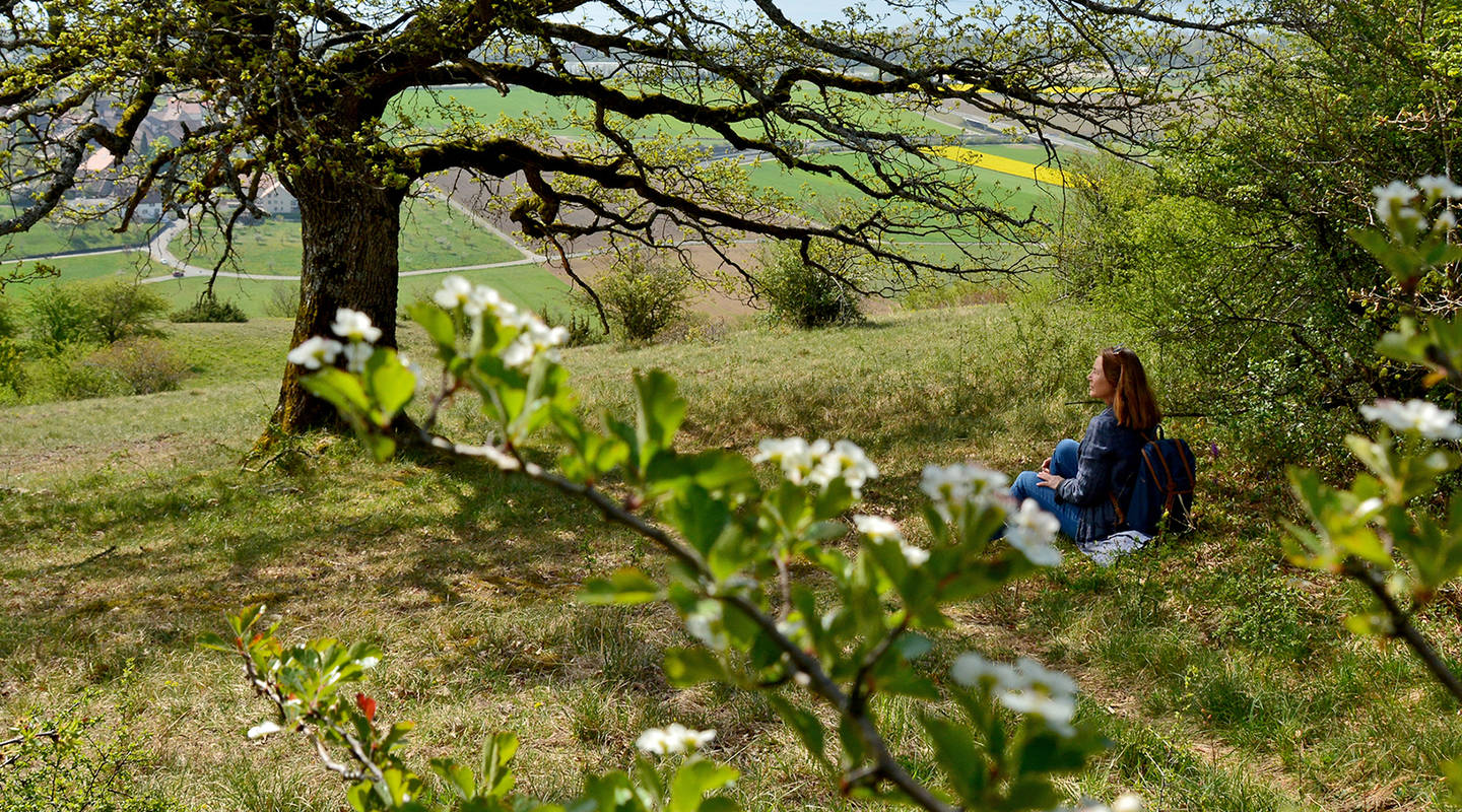 Fur Natur Und Mensch Pro Natura