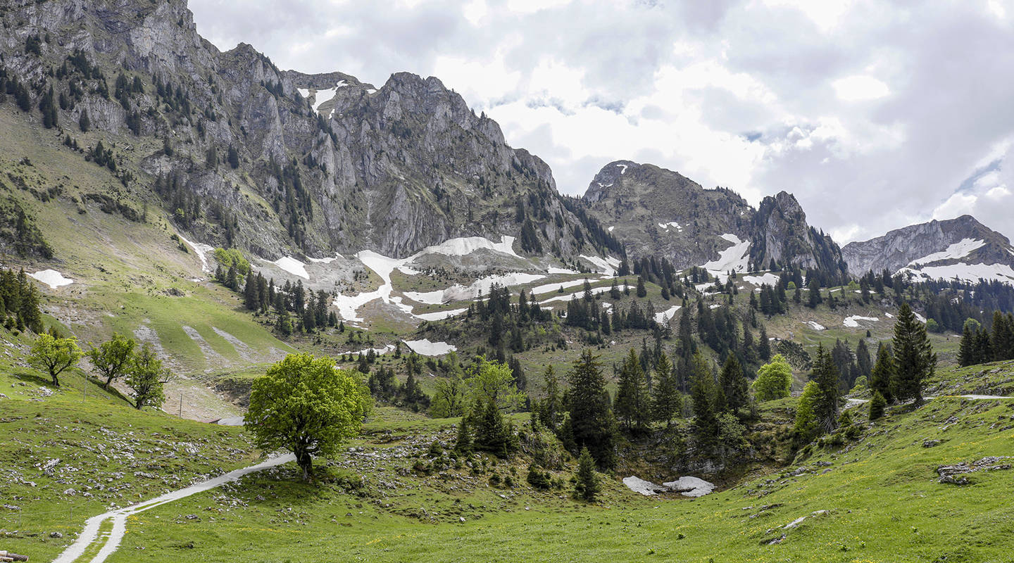 informations et demarchage porte a porte et mesures de protection contre le covid pro natura