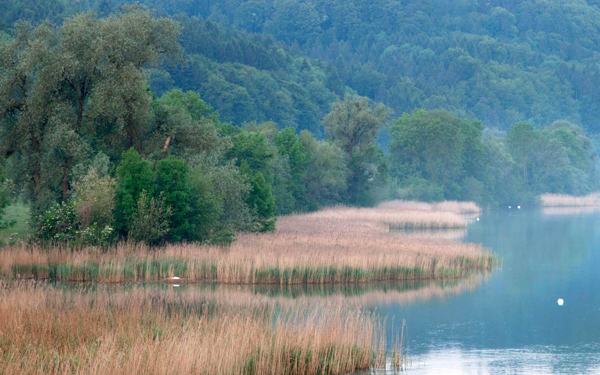 Wohlensee bei Bern