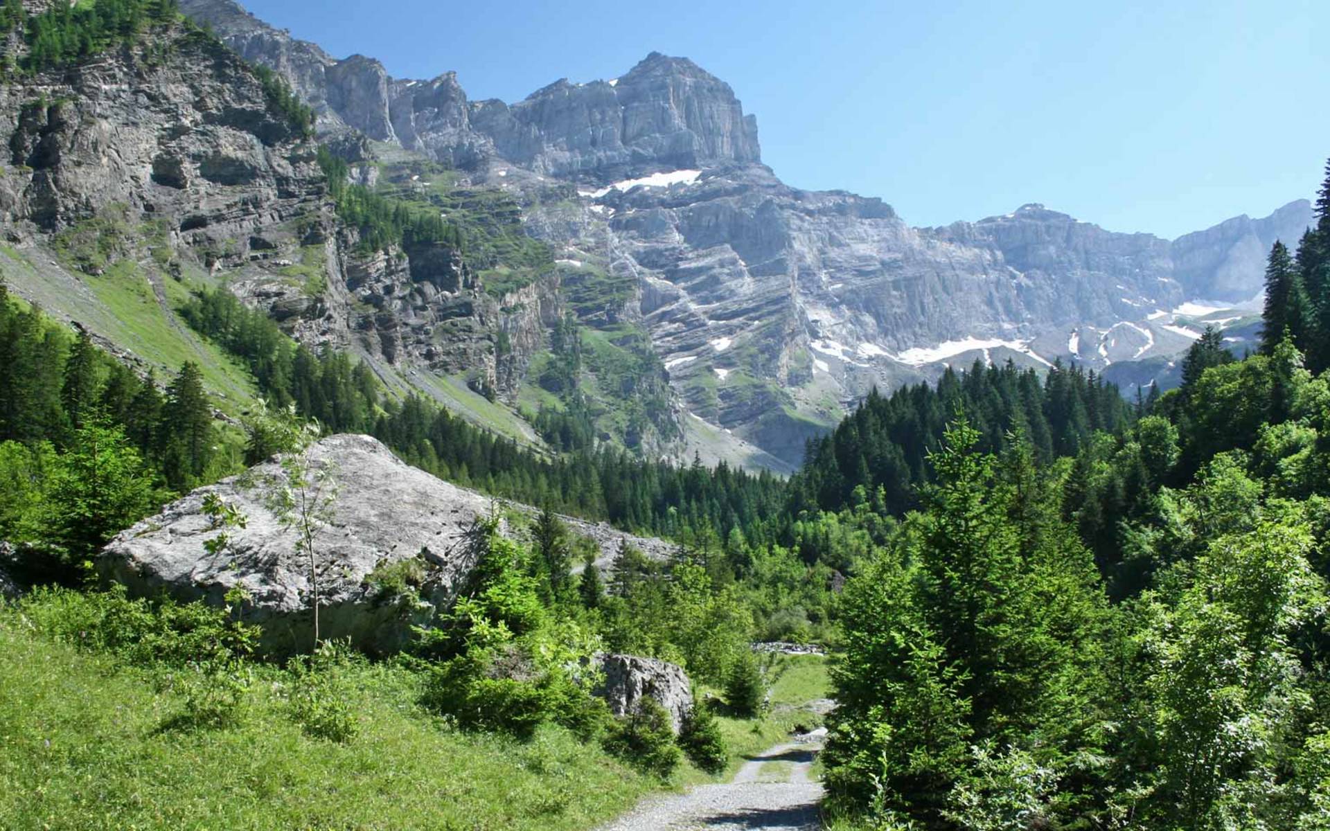 Vallon de Nant © Adrien Zeender