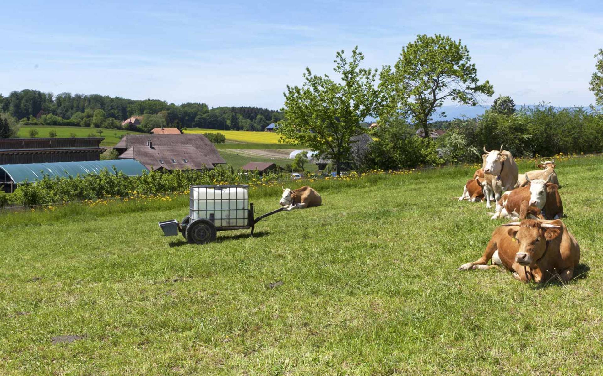 Im Einsatz für eine ökologische Landwirtschaft ohne Gentechnik | Pro Natura