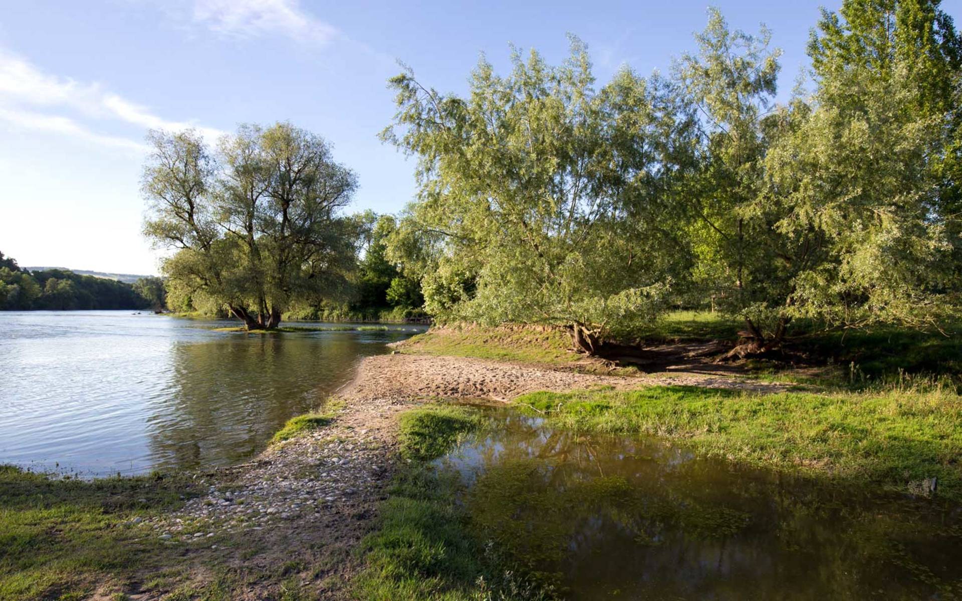 Naturschutzgebiet Limmatspitz (AG) © Florin Rutschmann