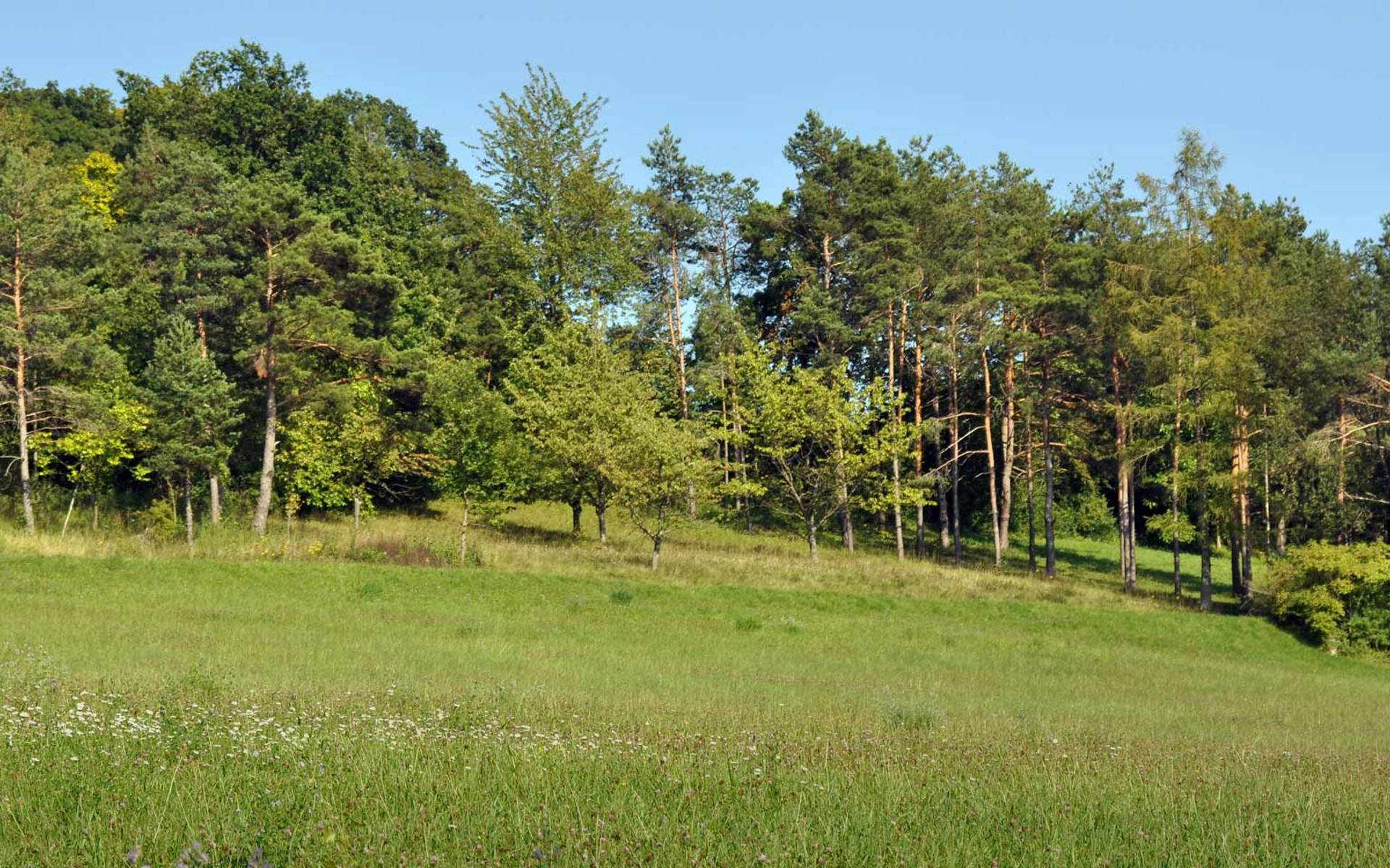 Nättenberg © Wolfgang Bischoff