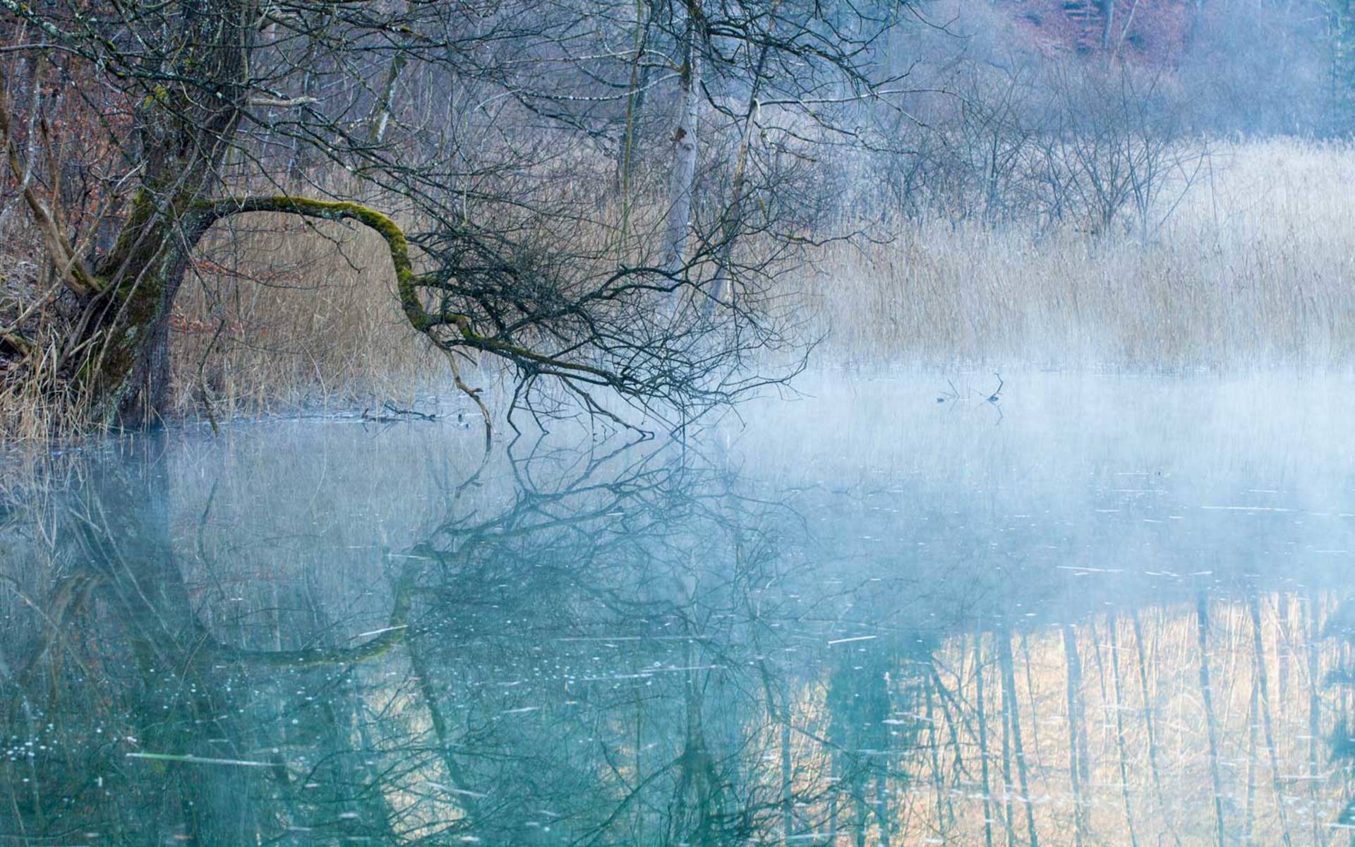 Jorden Weiher © Matthias Sorg