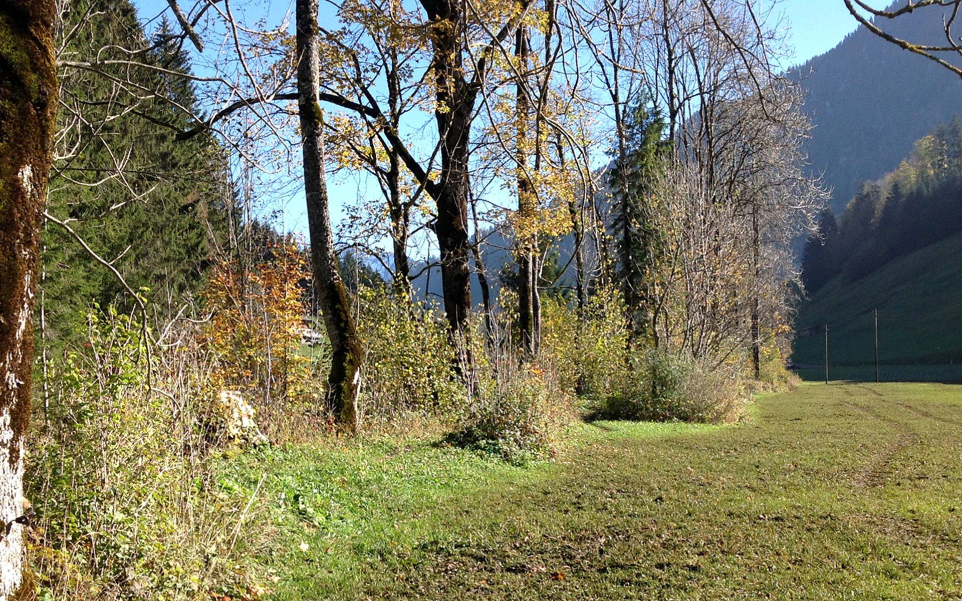 Pufferstreifen © Sylvie Rotzetter