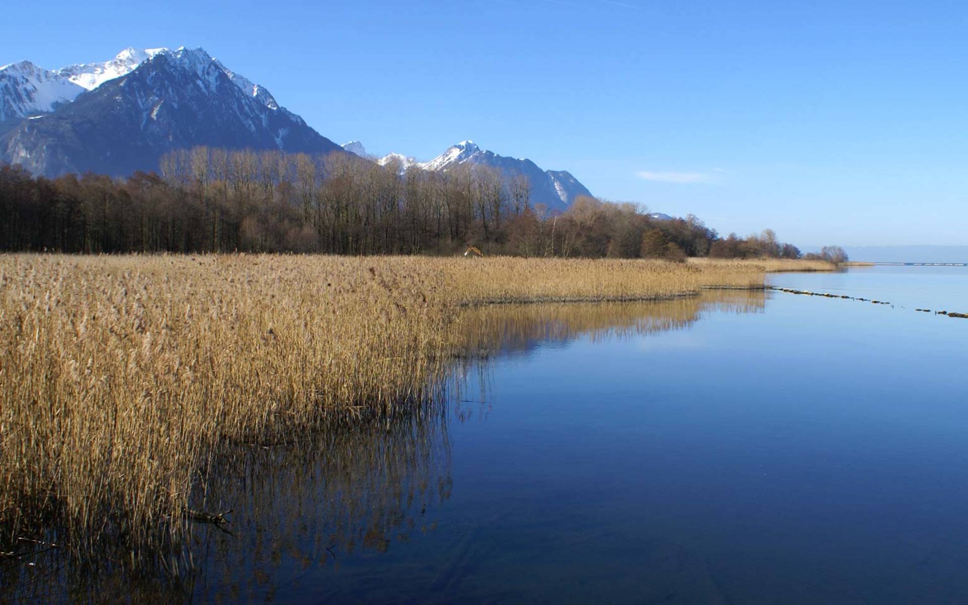 Les Grangettes © Pro Natura