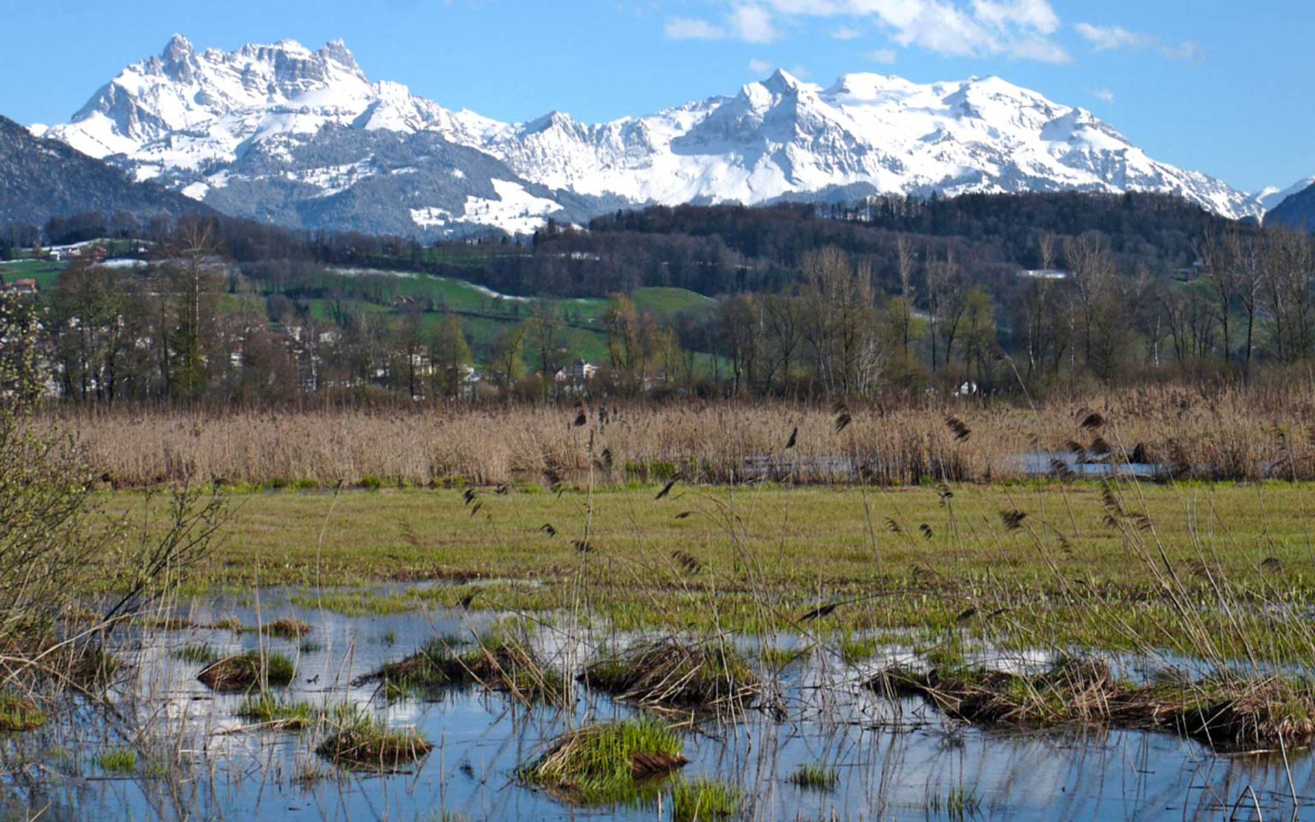 Kaltbrunner Riet © Klaus Robin