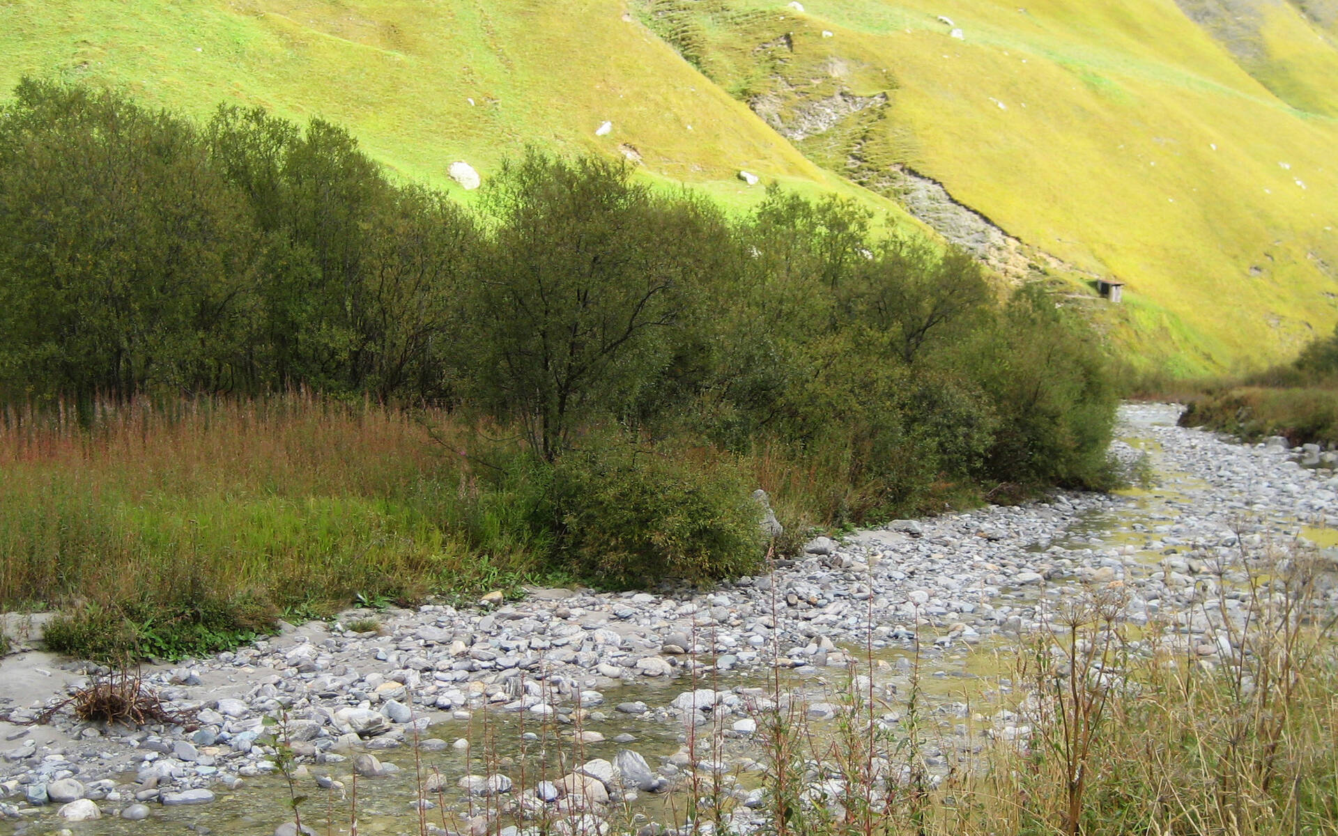 Revitalisierung der Wildenaue © Pro Natura