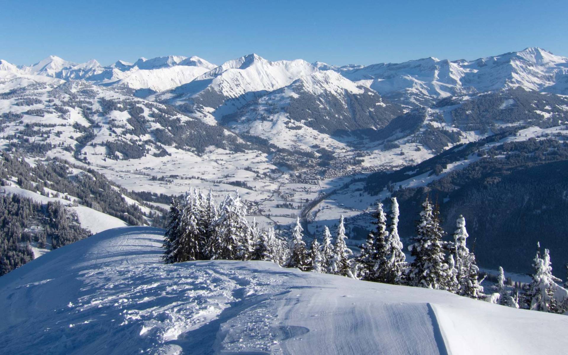 Winter im Saanenland © Matthias Sorg