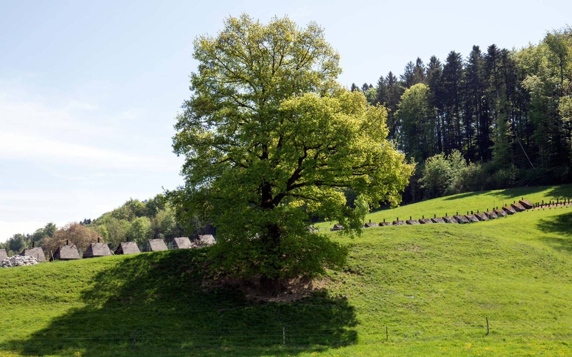 Panzersperre Marfeldingen © Matthias Sorg