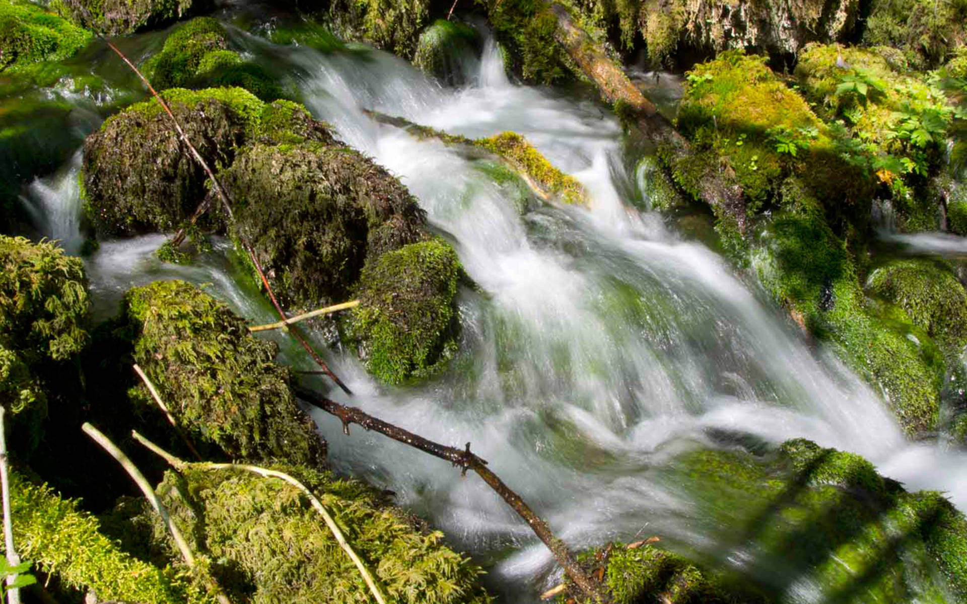Rivière dans le Jura © Raphael Weber