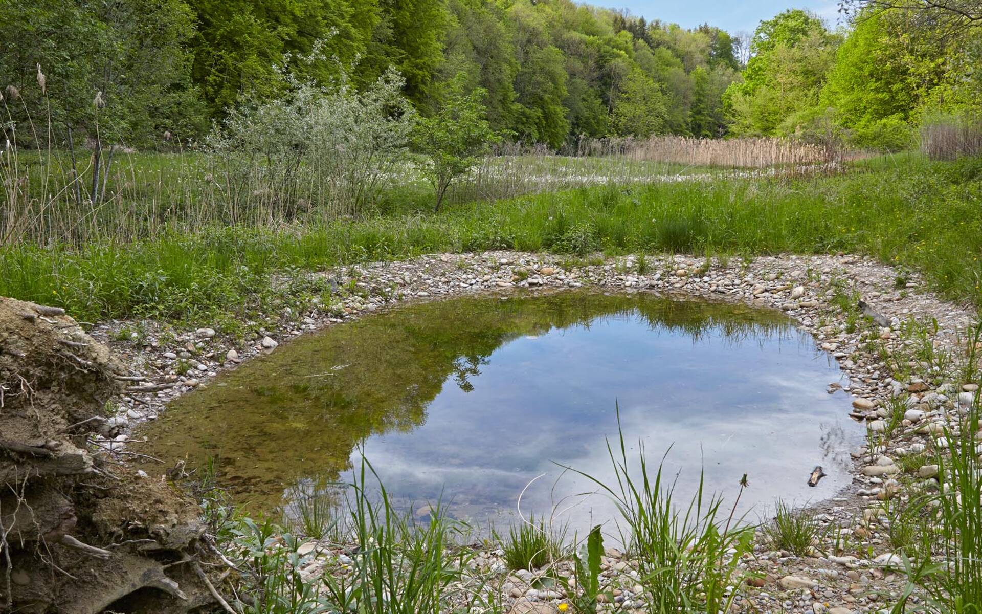 Weiher ©Jan Ryser