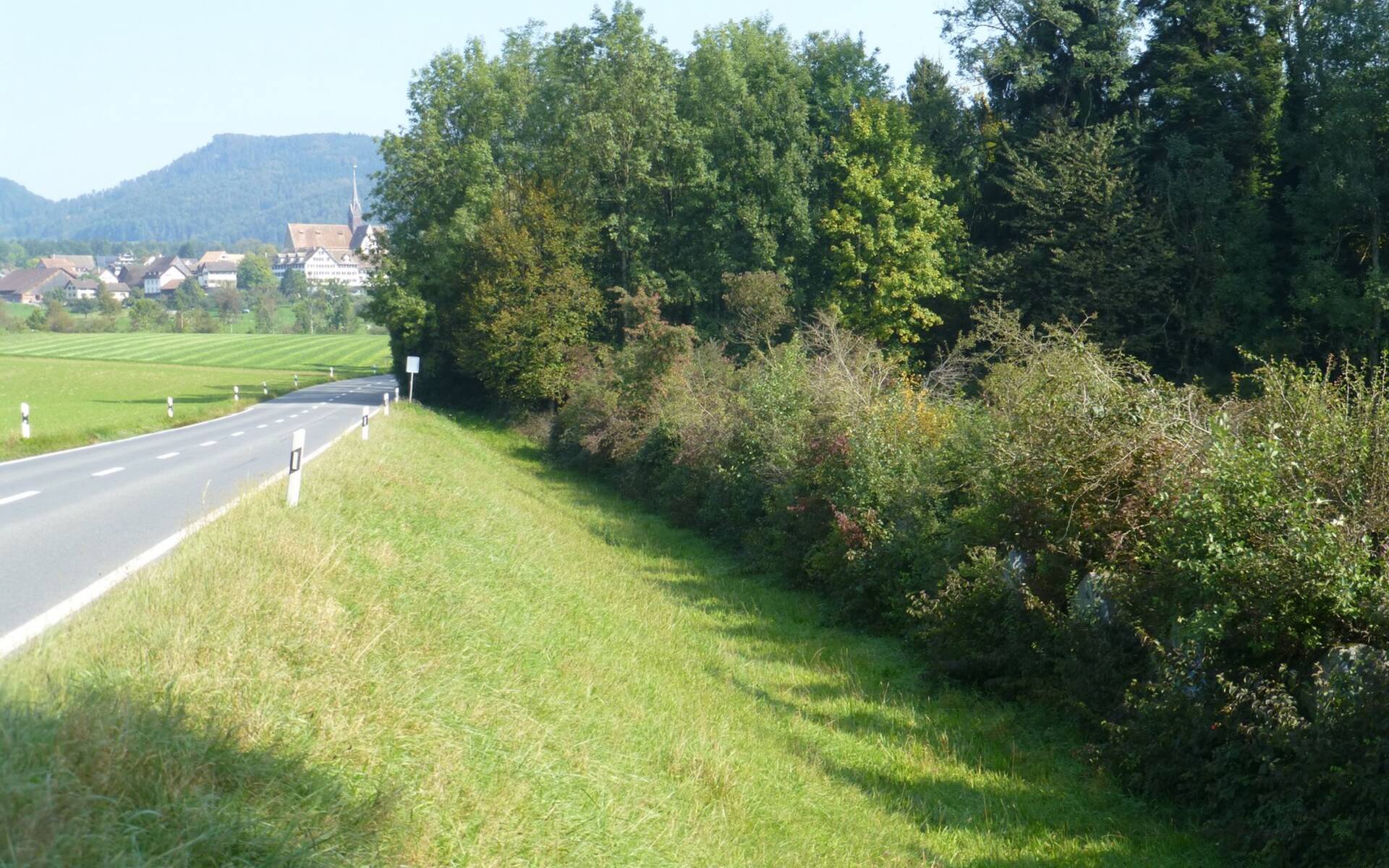 Untere Hecke