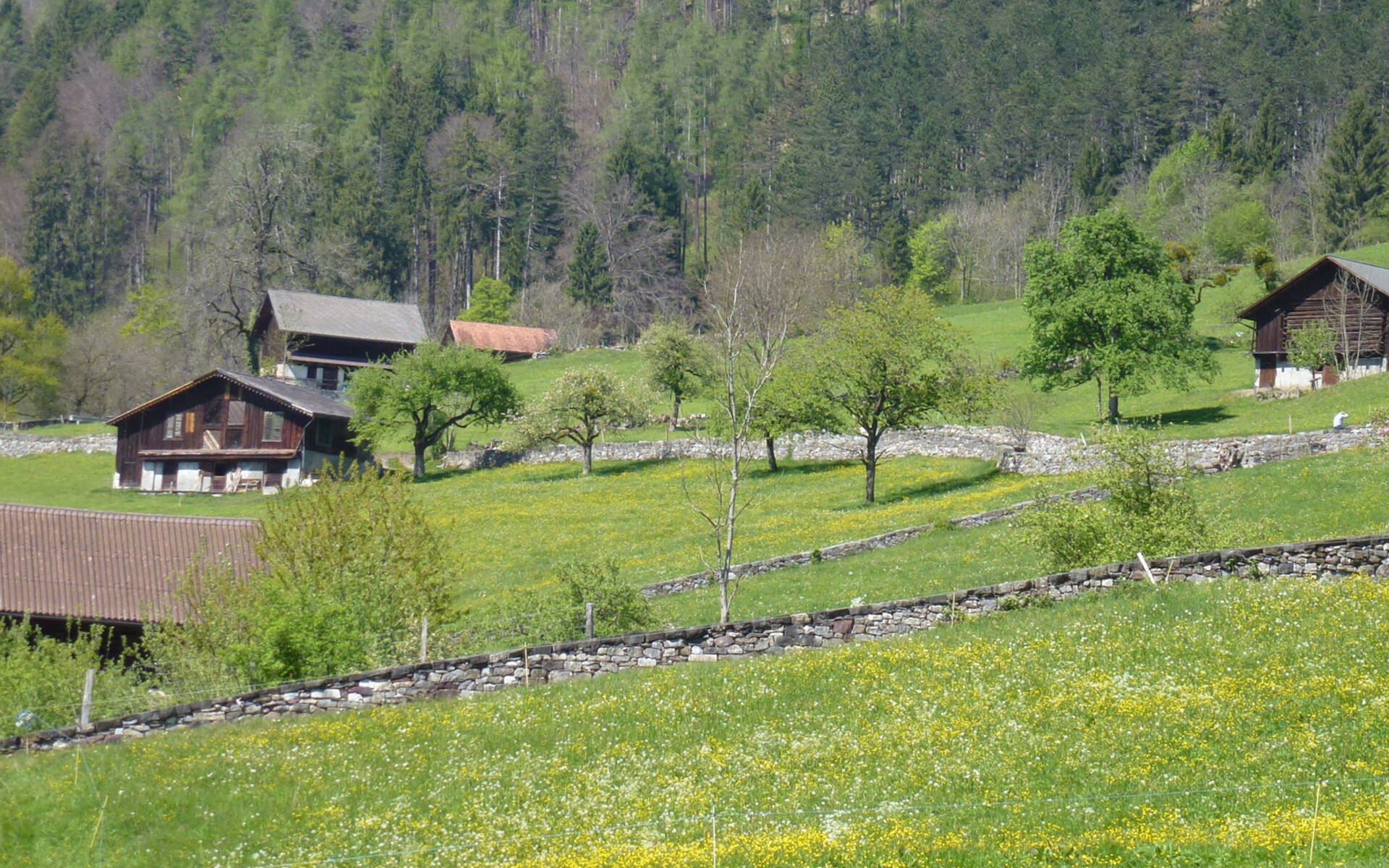 Trockenmauern Projekt
