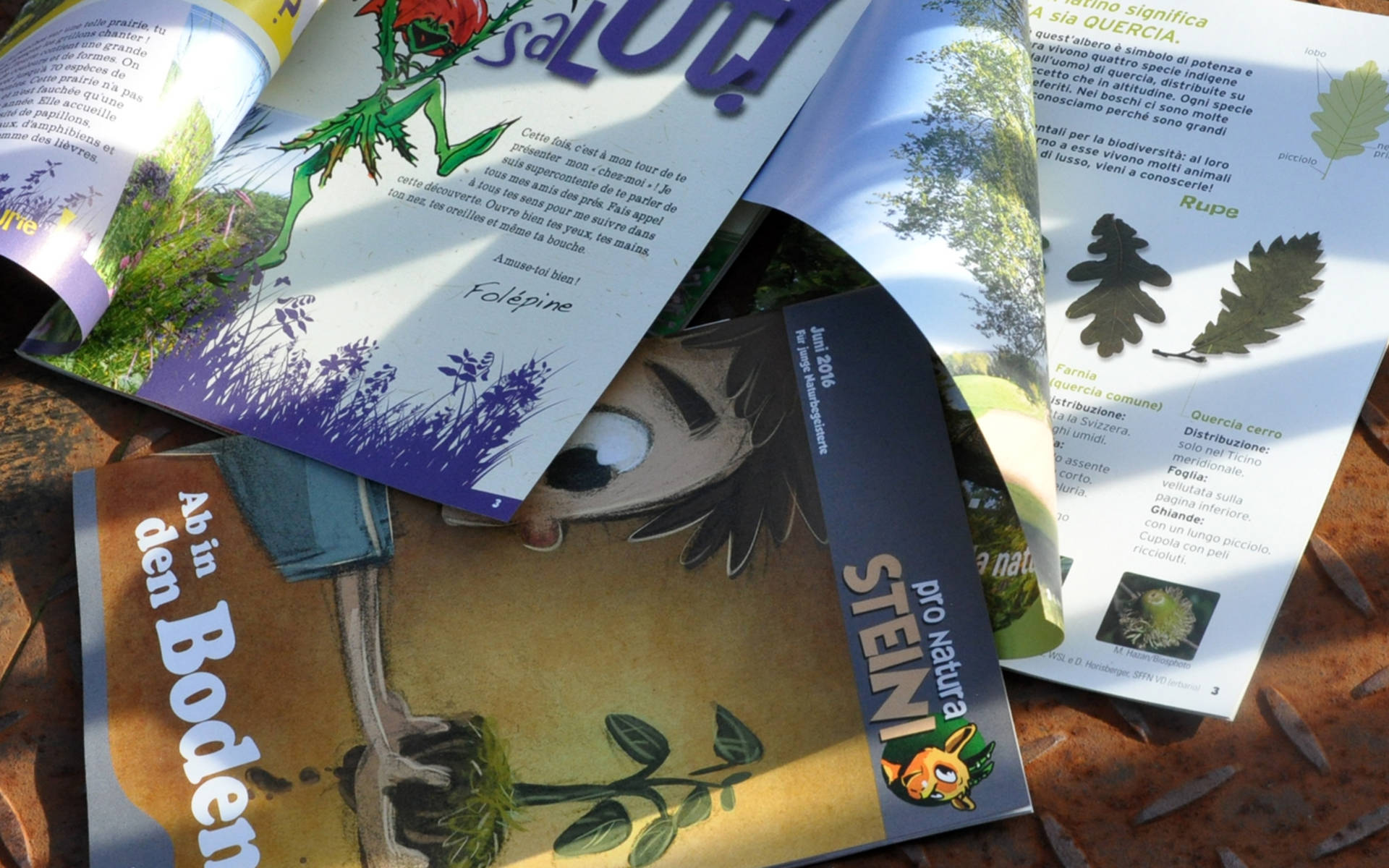 Steini Coverbilder by Peter Spiess