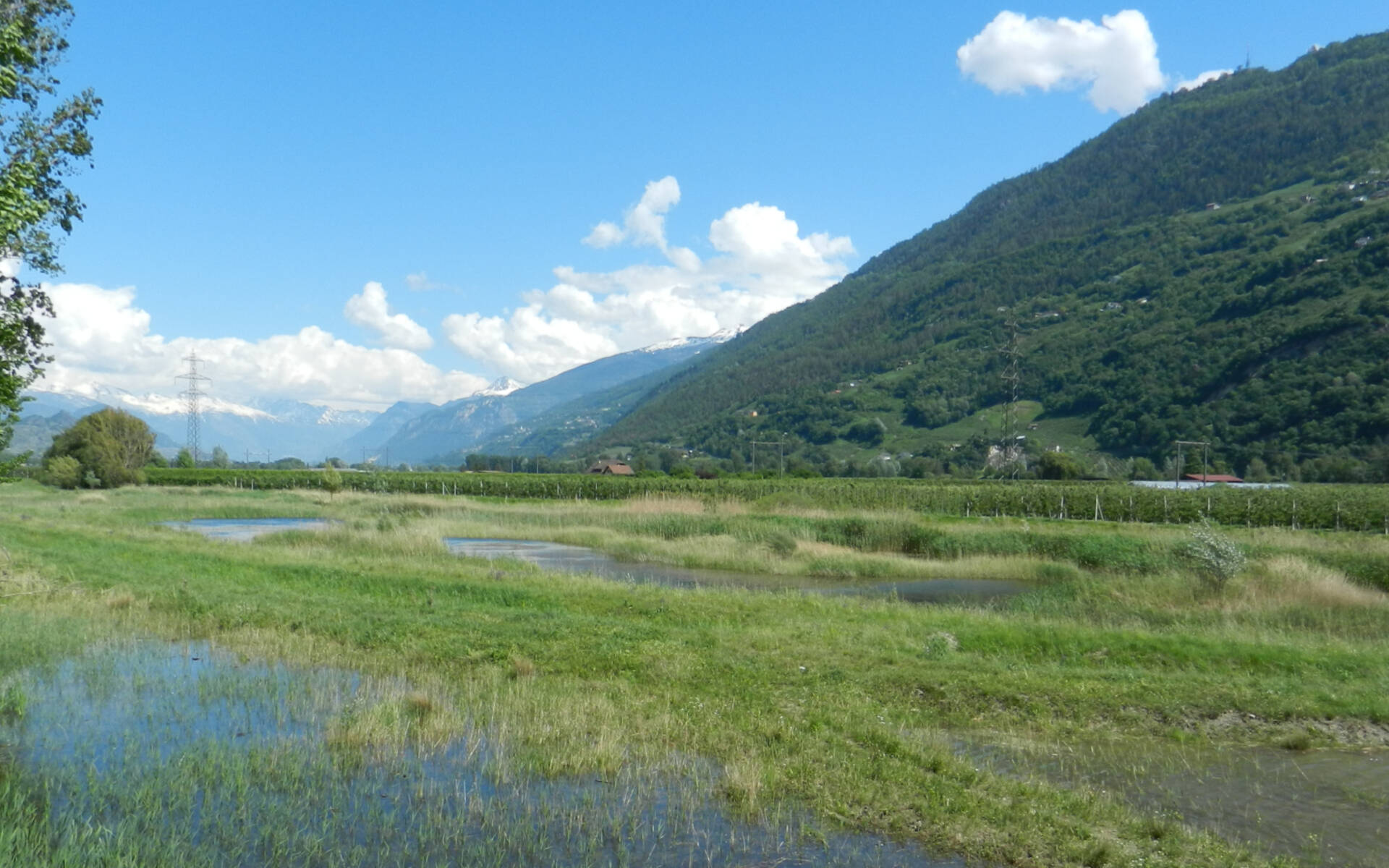 Biotope Ardon chamoson