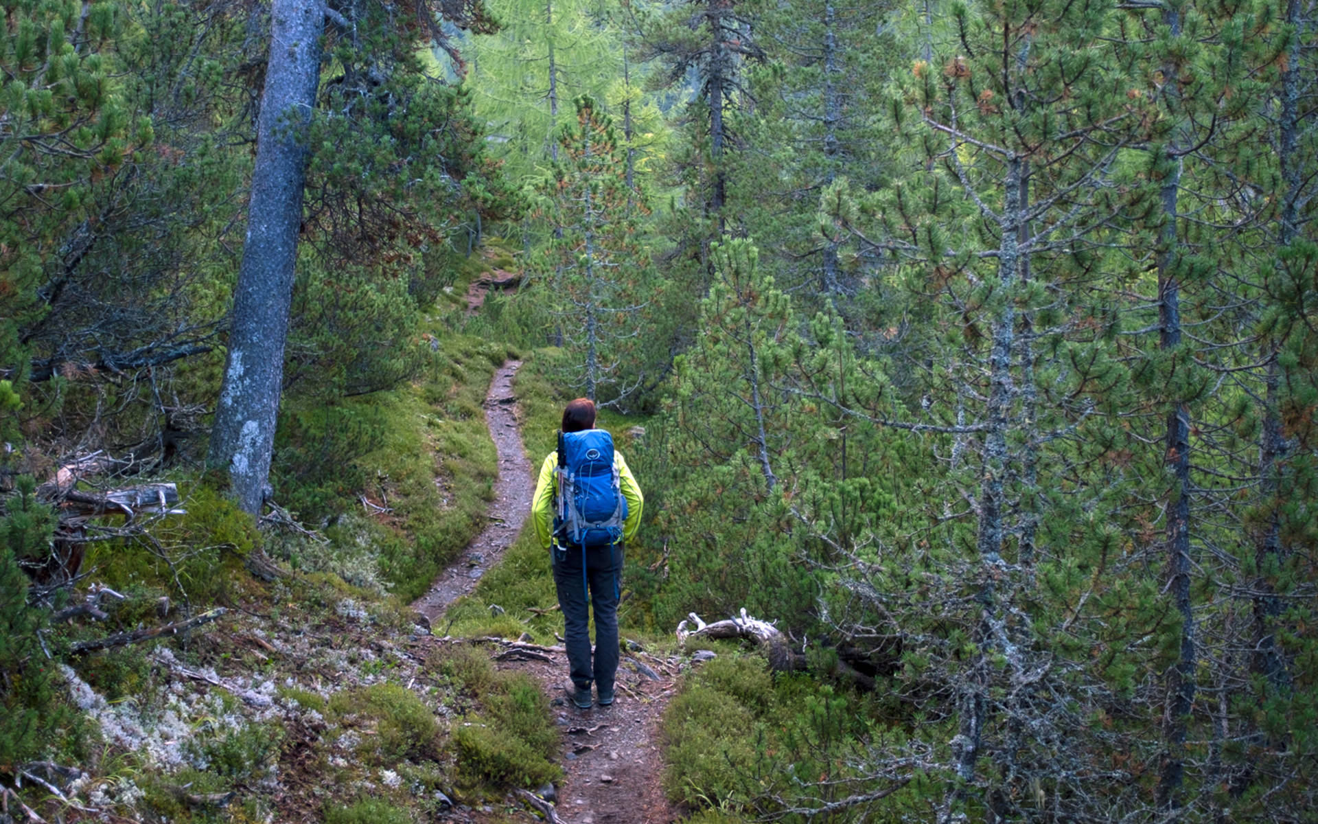 Im Wald unterwegs © Matthias Sorg