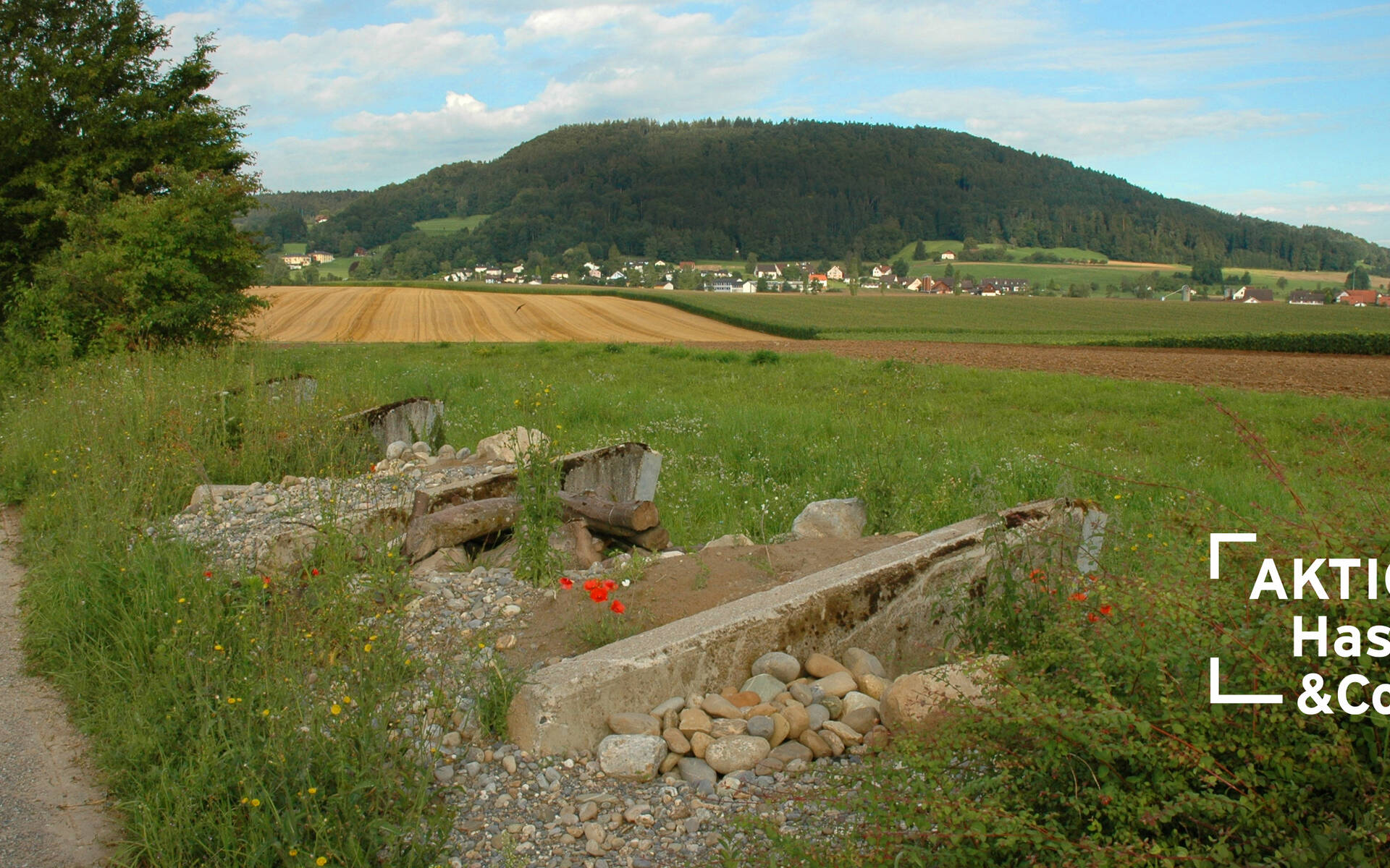 Kulturlandschaft Panzersperre in Stadel cr Matthias Wüst