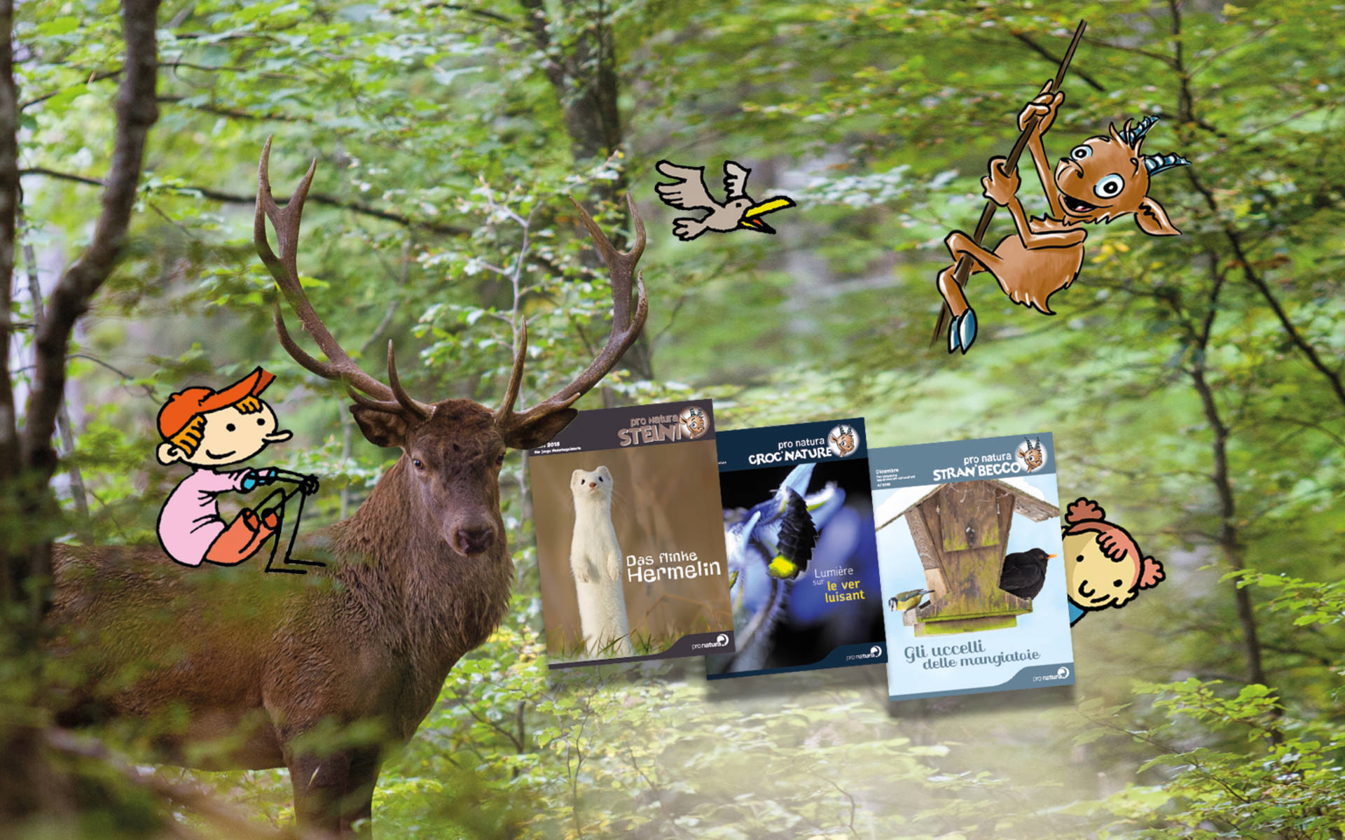 Collage Steinis © Pro Natura