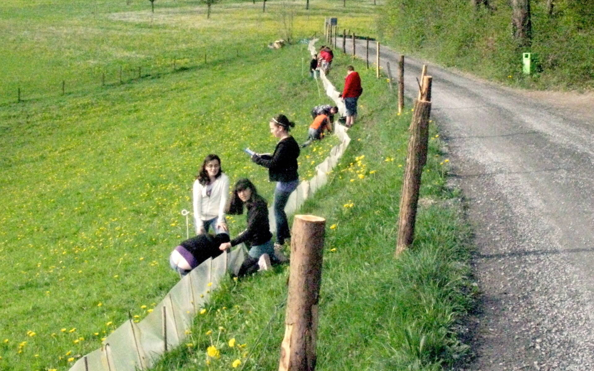 Rückbau_Amphibienzaun