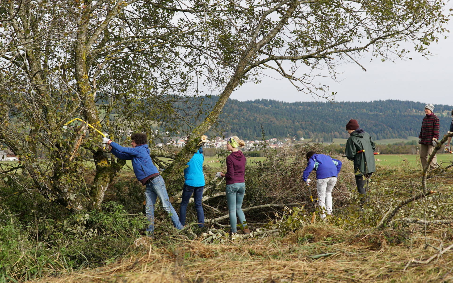Jugendliche arbeiten in einem Naturschutzgebiet © Linus Ehi