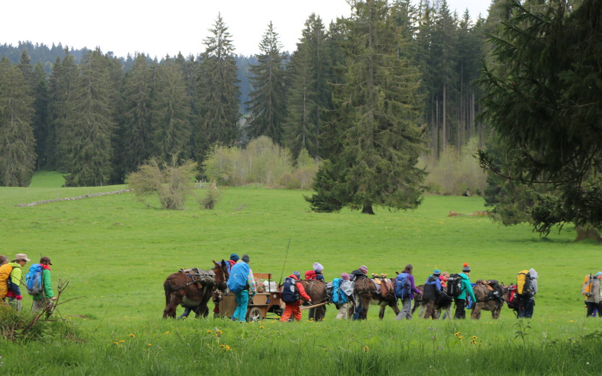 Un groupe randonne avec des ânes © Groupe J+N Jura Bernois