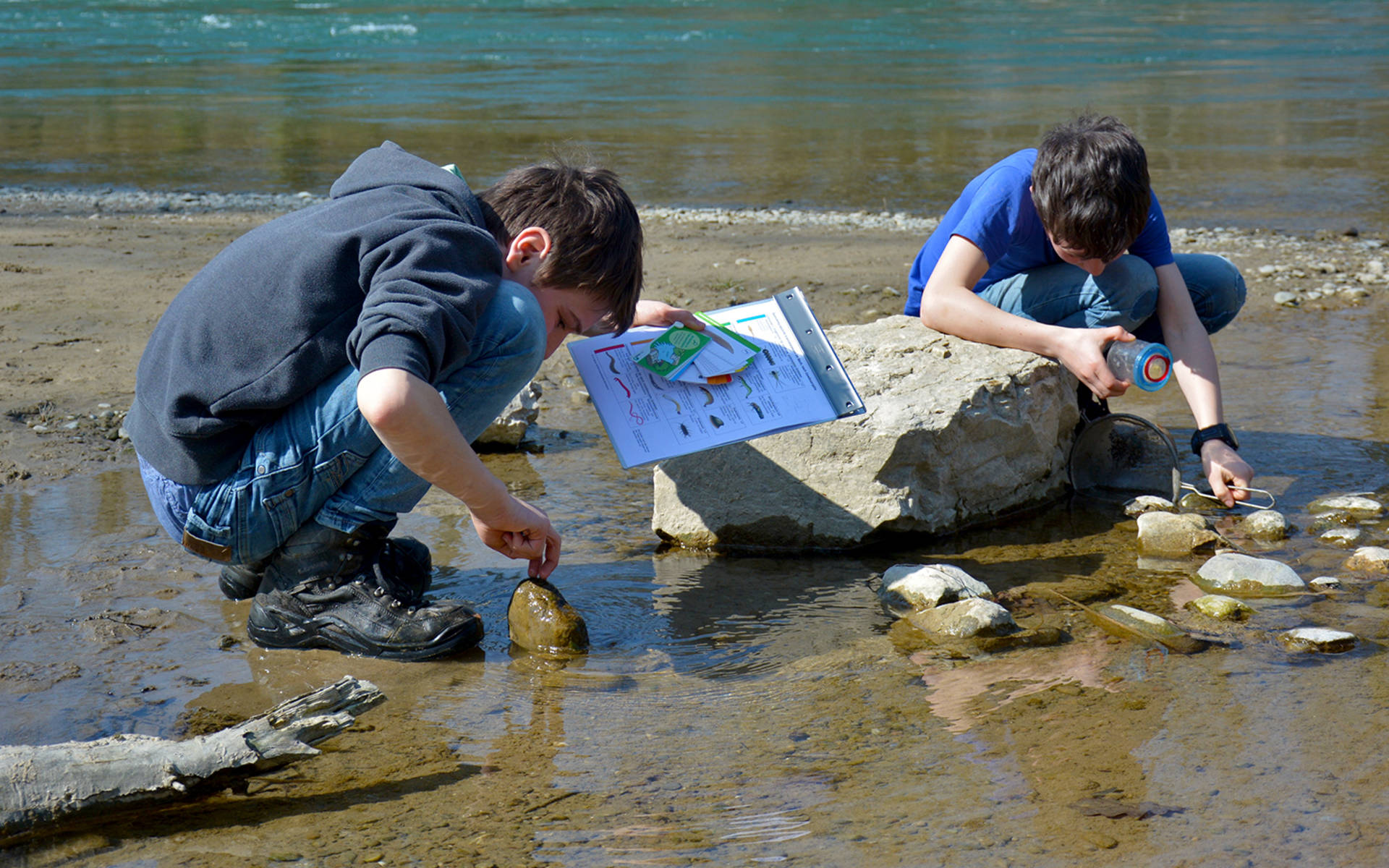 Unterrichtsdossier zu Bioindikation in Anwendung © Thomas Flory