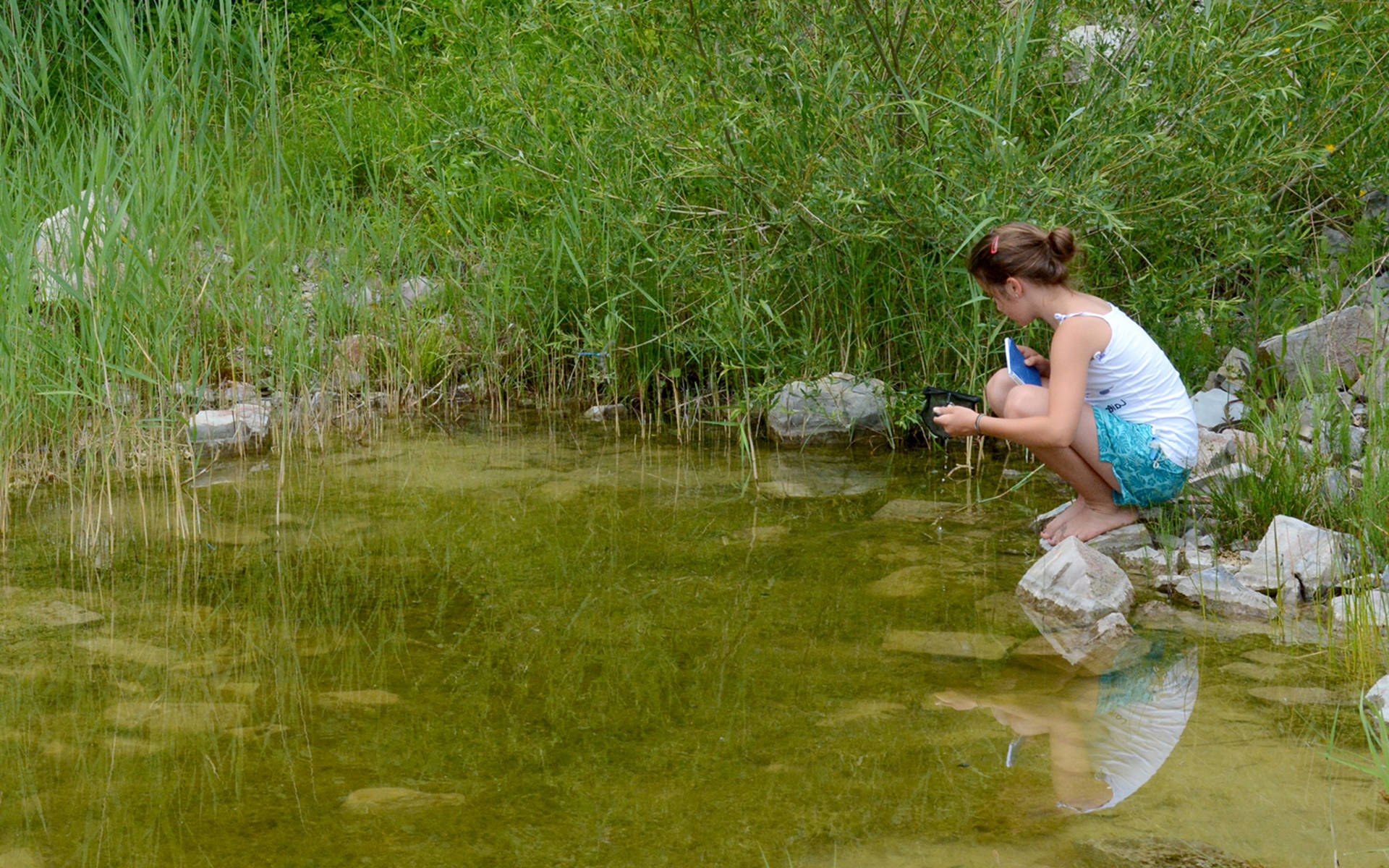 Une fille observe des insectes dans un étang @ Thomas Flory