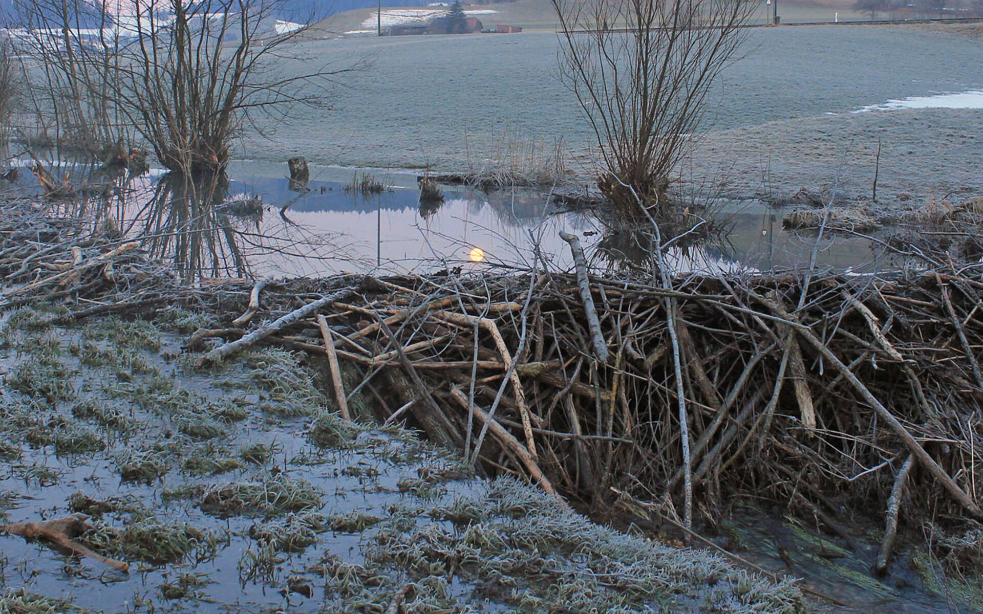 Biberraum Dürrenroth © Peter Lagergeld
