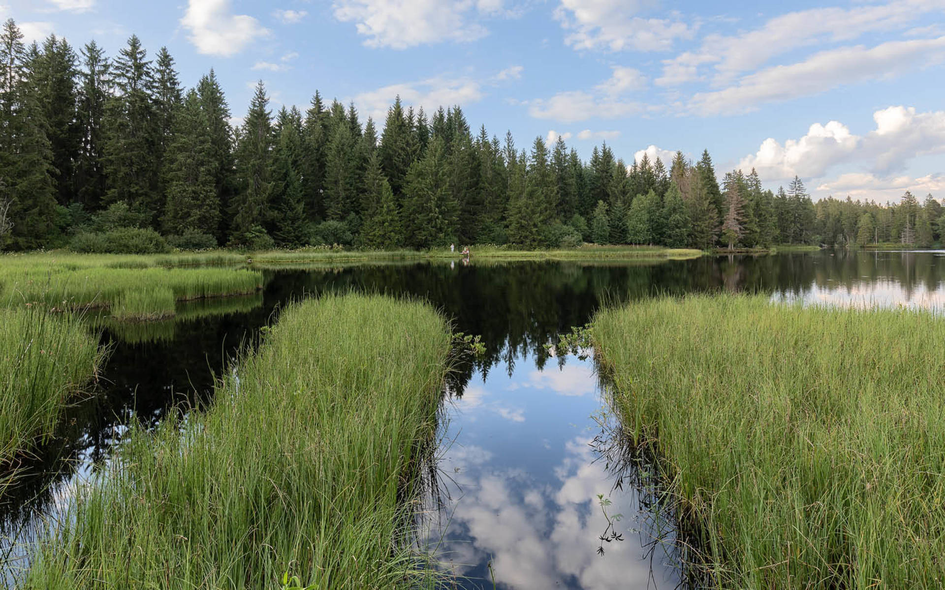 Etang de la Gruère JU, Tagesexkursion © AdobeStock, JosephManiquet