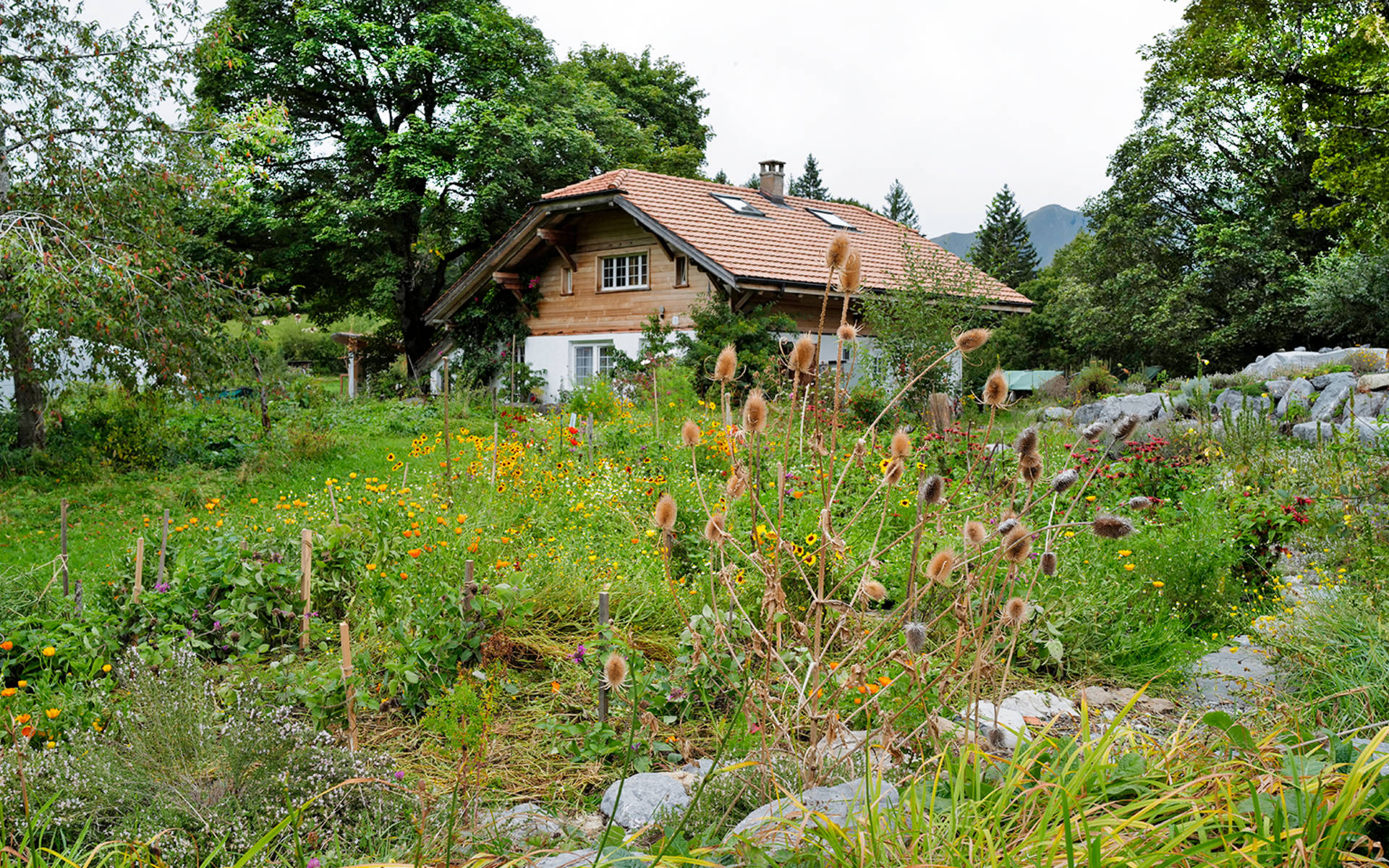 Concours Jardins Naturels Petits Et Grands Paradis Pro Natura