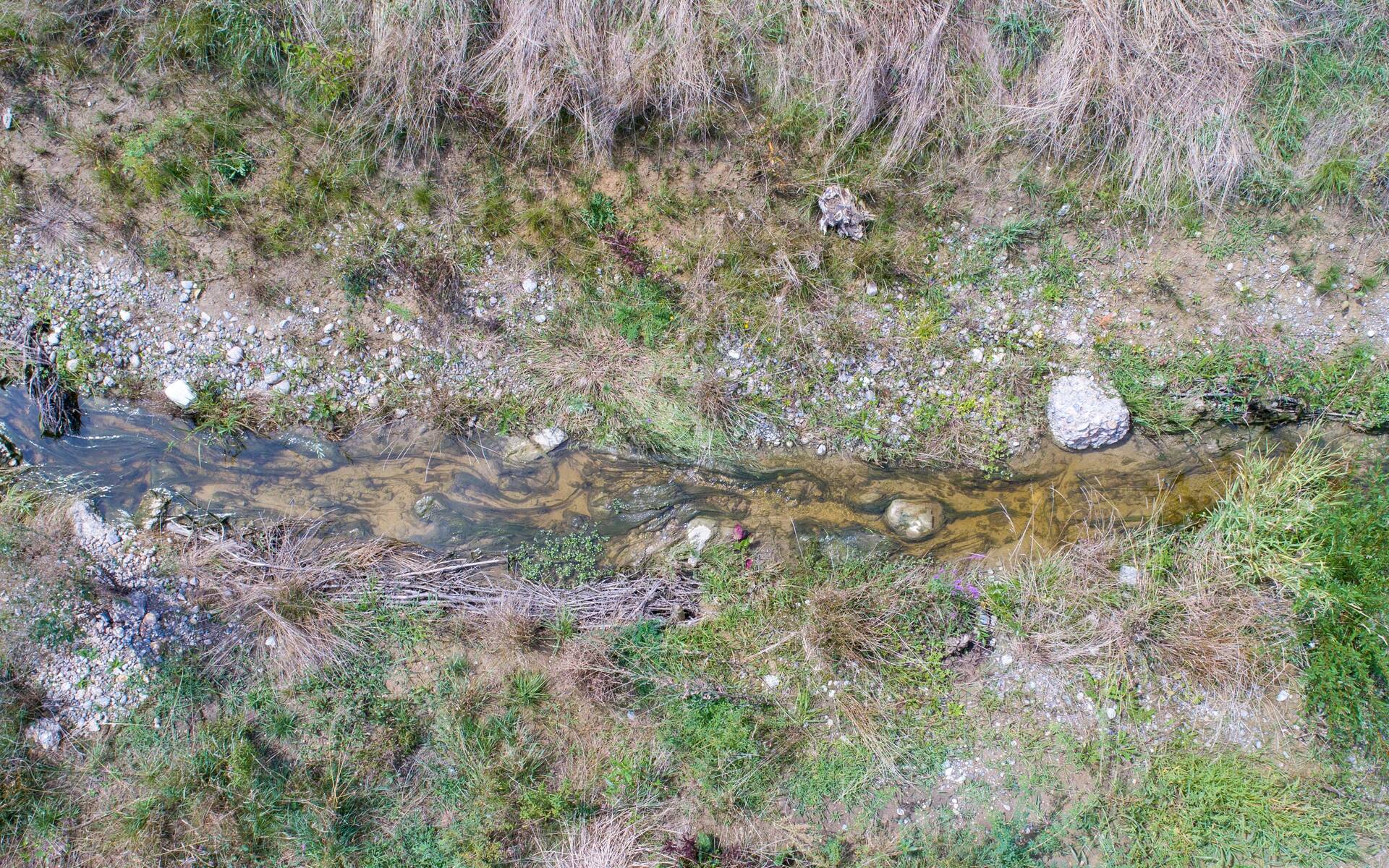 Blick von oben auf den offengelegten Mülibach © Dominic Tanner