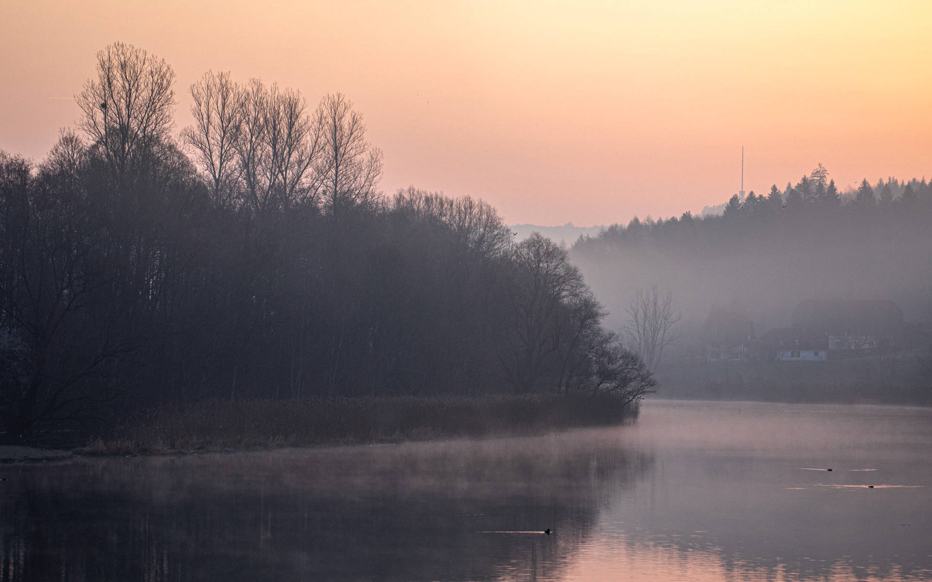 Morgenstimmung über See @ Matthias Sorg