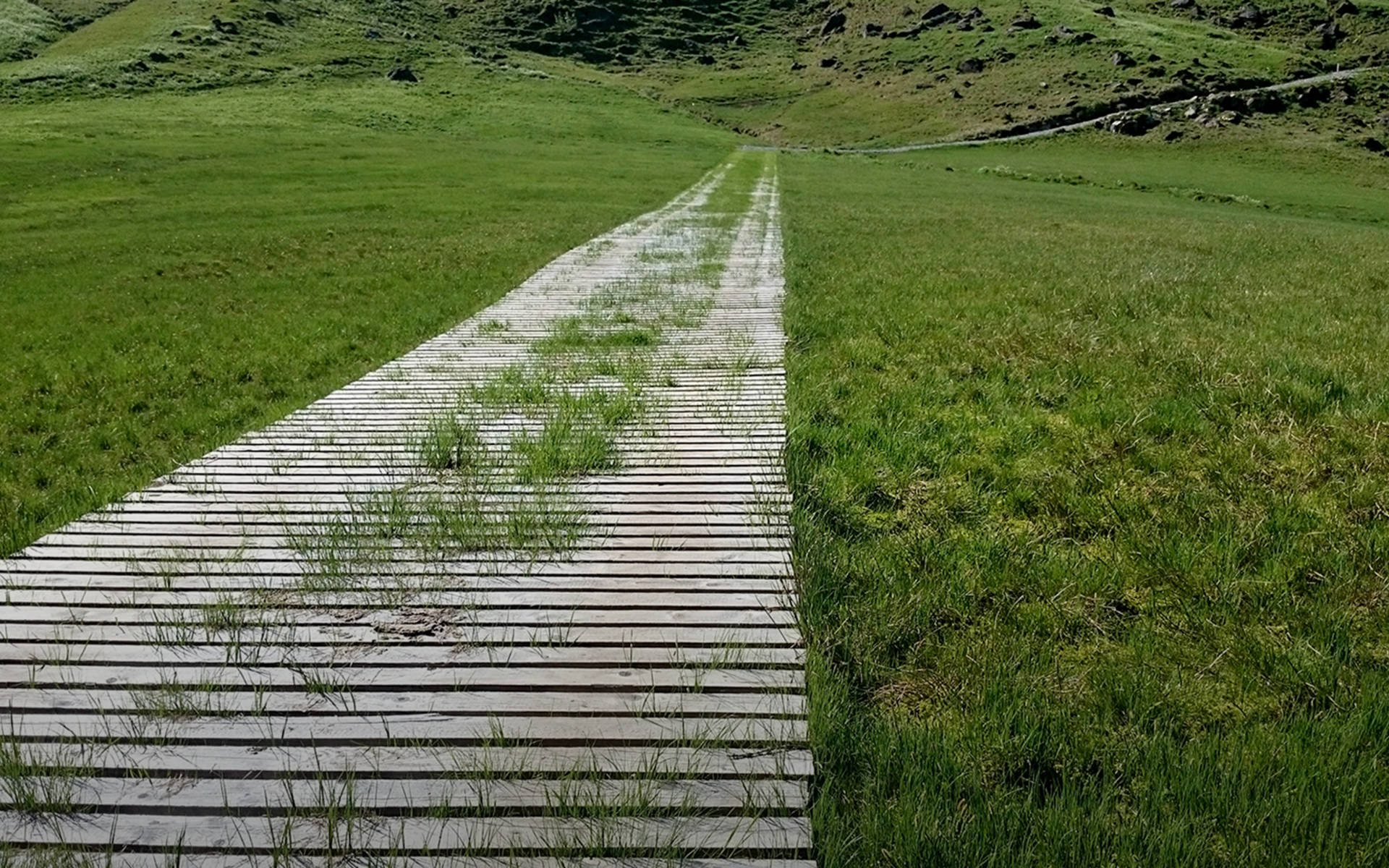 Route à travers un marais protégé au niveau national sur le Glaubenberg © Raphael Weber