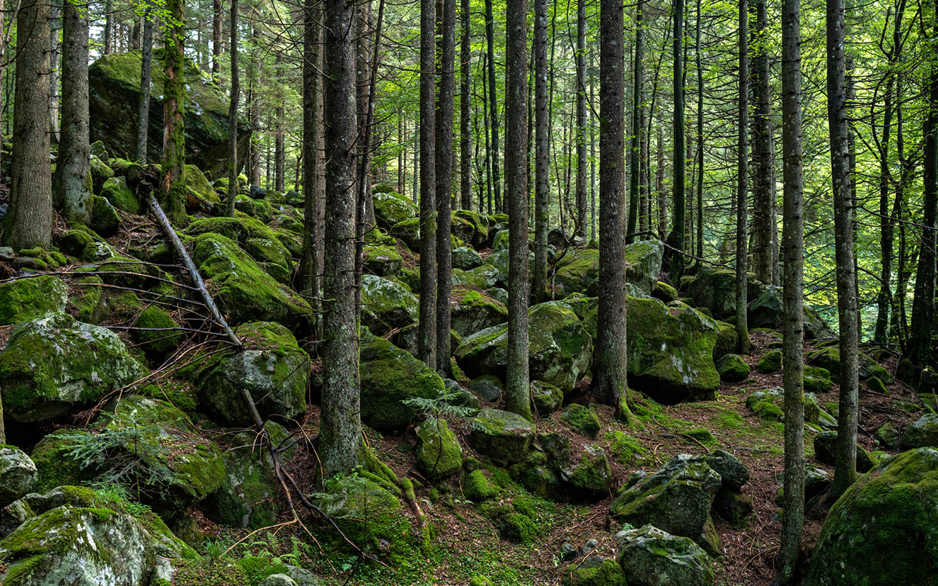 Val Cama © Matthias Sorg