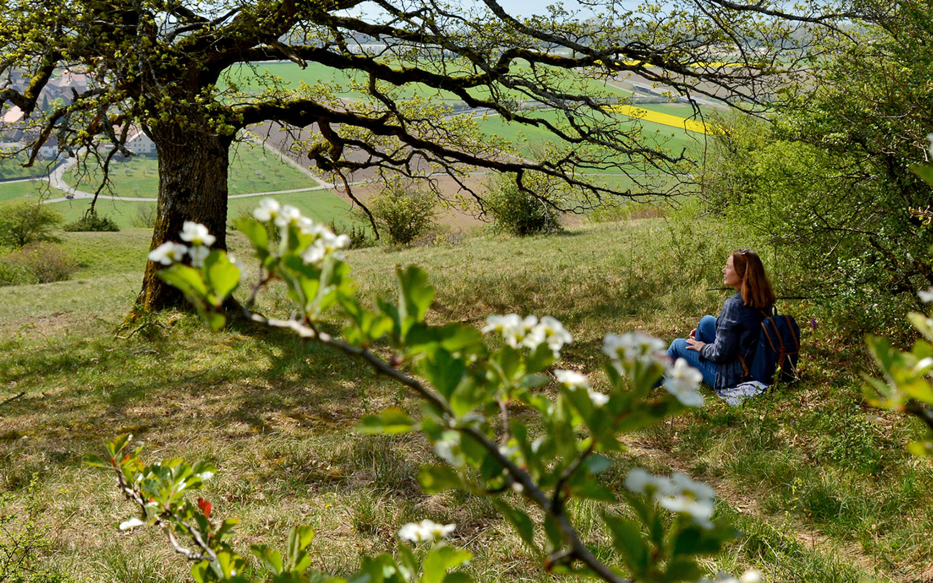 La Nature Et L Etre Humain Pro Natura La Nature Et L Etre Humain Pro Natura