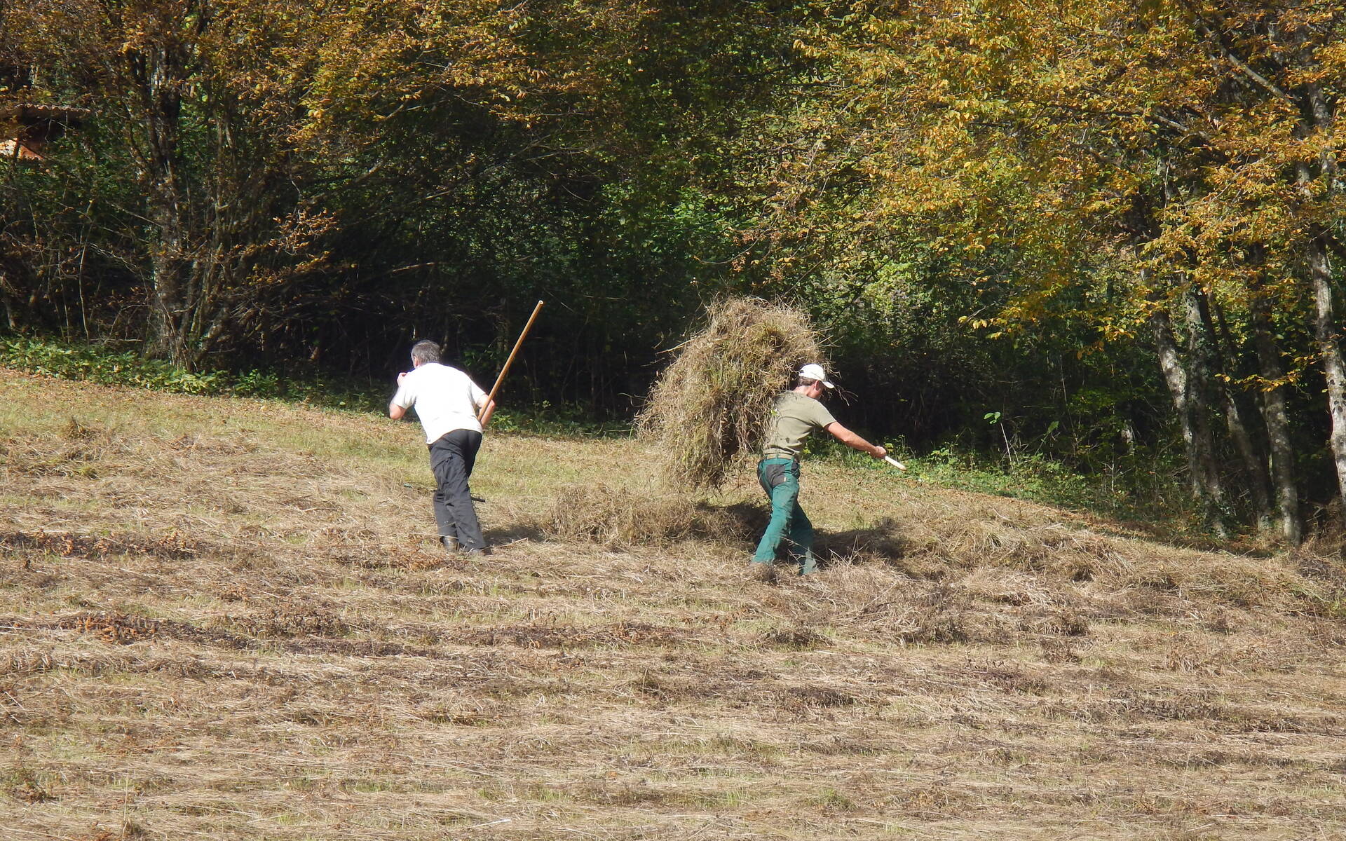 pflegeeinsatz arbeitseinsatz naturschutz