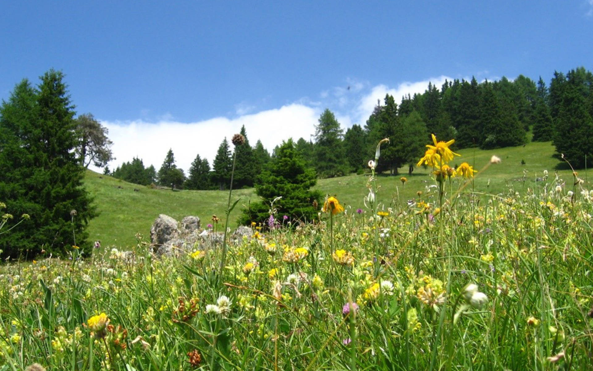 Ferienarbeitswoche Obermutten, Albula, Graubünden © Pro Natura Graubünden 