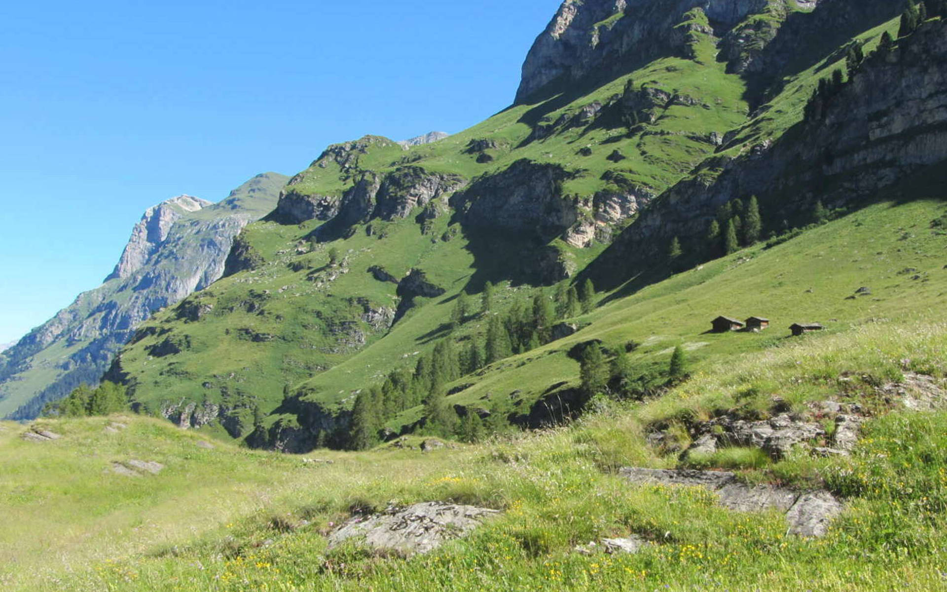Ferienarbeitswoche in Avers © Pro Natura Graubünden