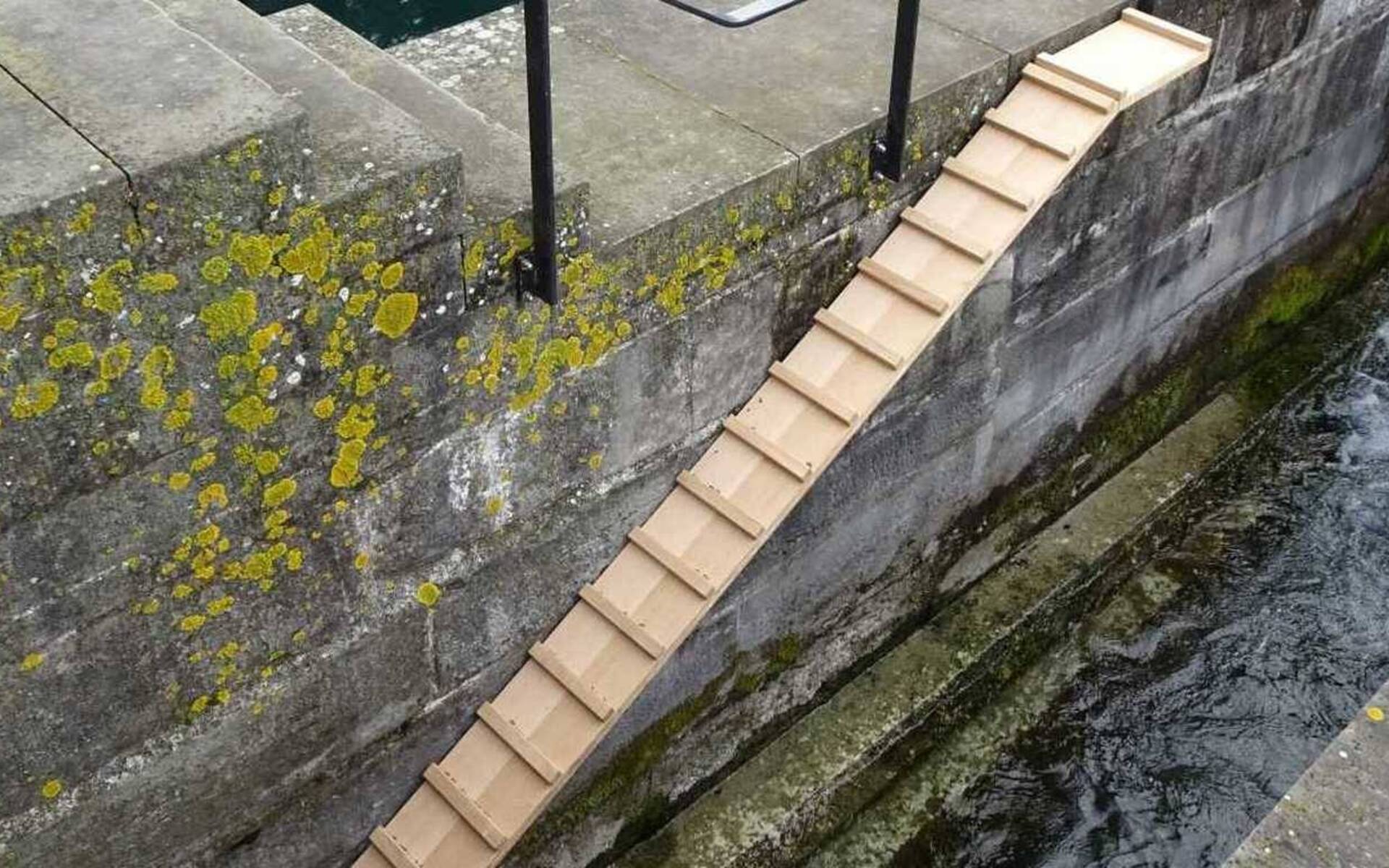 Biberrampe am Mühleplatz in Luzern © Miriam Peretti