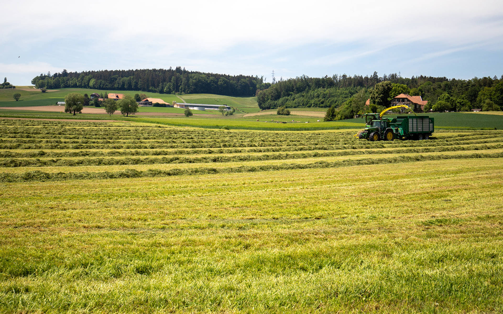 Image symbolique agriculture © Matthias Sorg