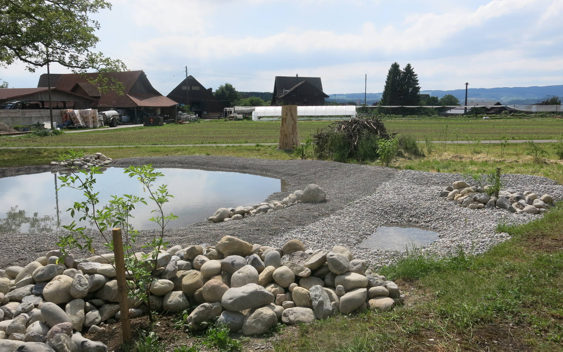 Weiher Friesencham