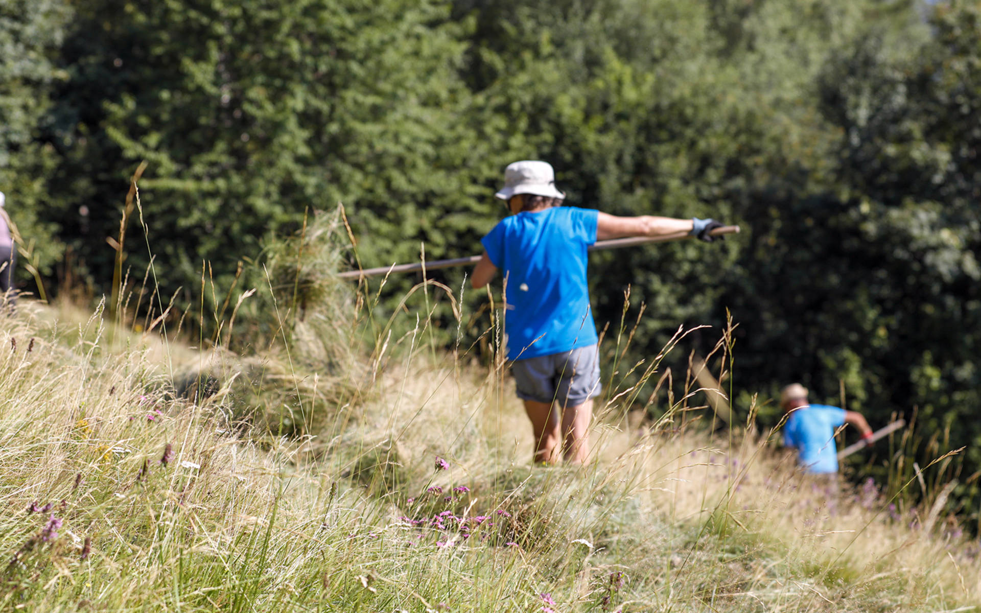 Des bénévoles en action pour Pro Natura, en train de faire les foins sur le Monte di Camino © Matthias Sorg