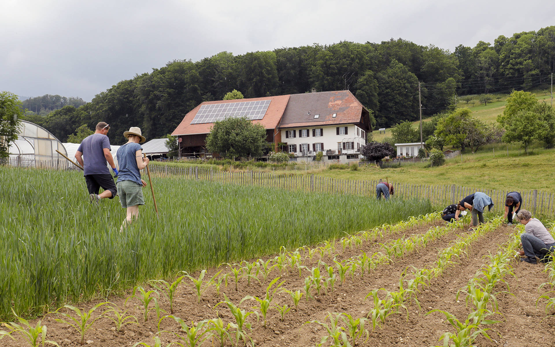 Ouvrières des champs © Matthias Sorg