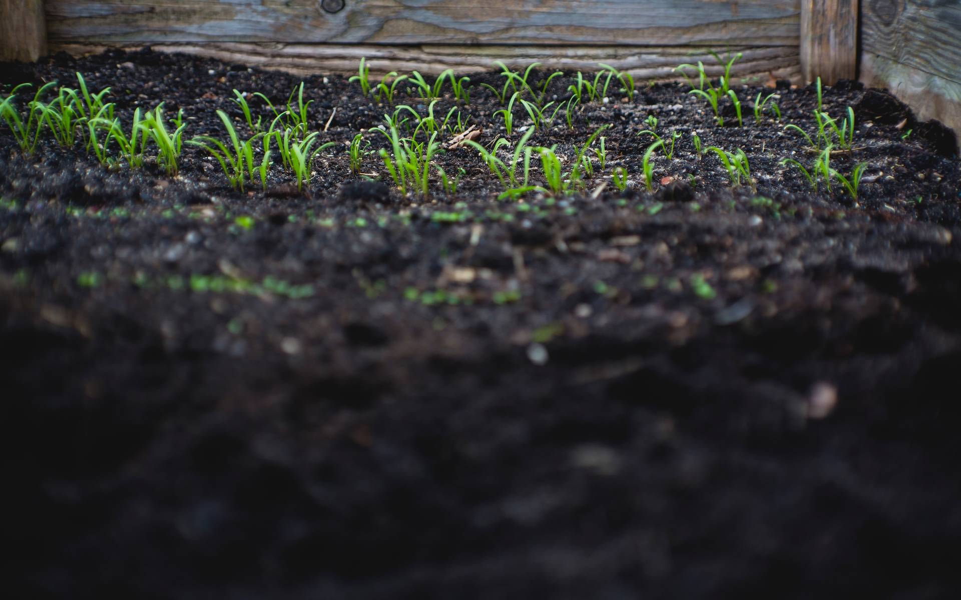 © Markus Spiske / Unsplash