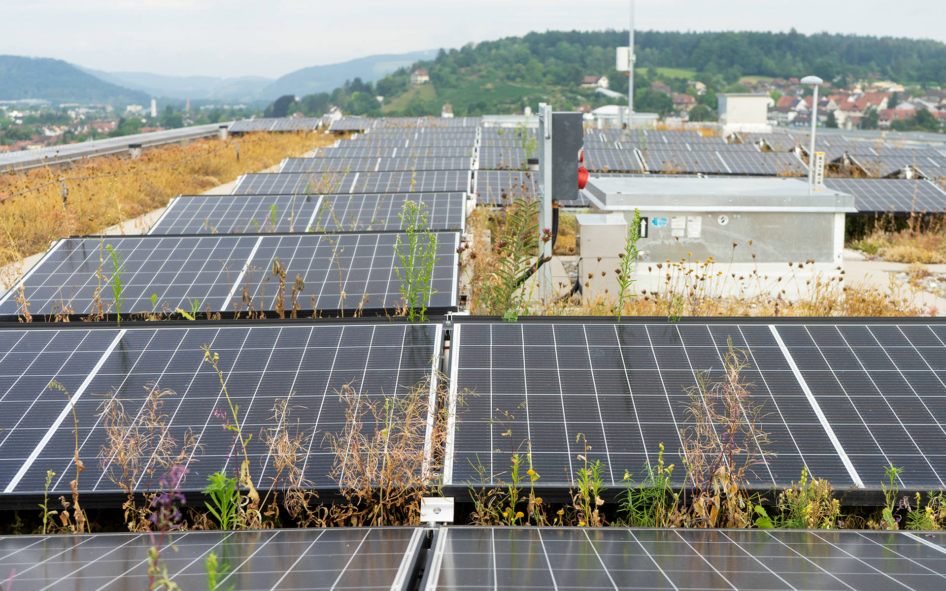 Image symbolique énergie solaire © Angela Peter