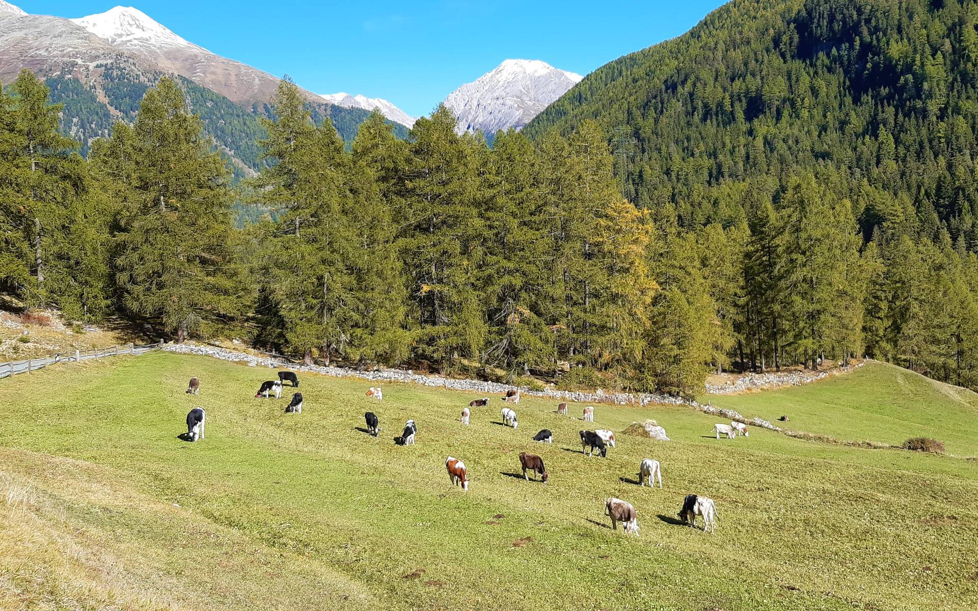 Vacances en faveur de la nature, Zernez, Basse-Engadine © Fondation Actions Environnement