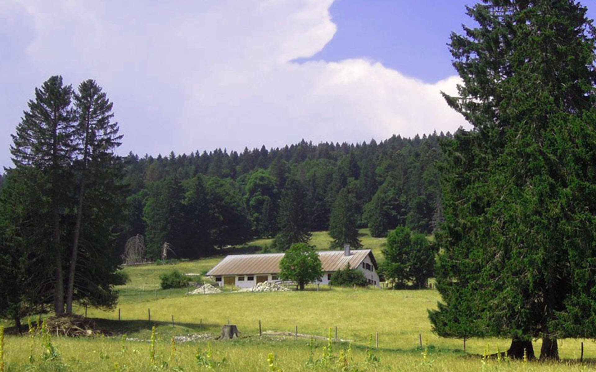 Vacances en faveur de la nature la Cruchaude, Chasseron, Jura vaudois. © Fondation Actions Environnement