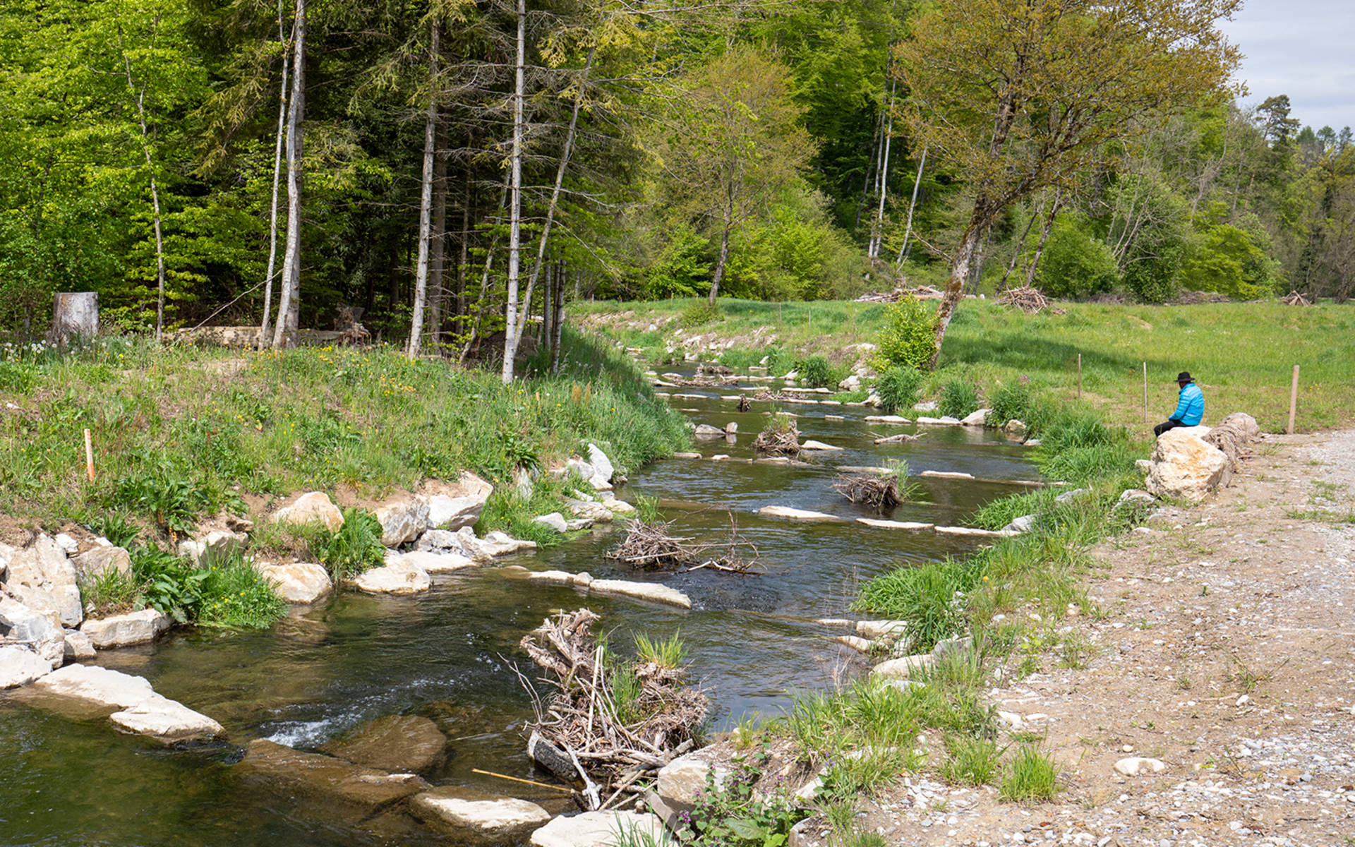 Pro Natura Projekt Biberaue Ferenbalm BE © Matthias Sorg