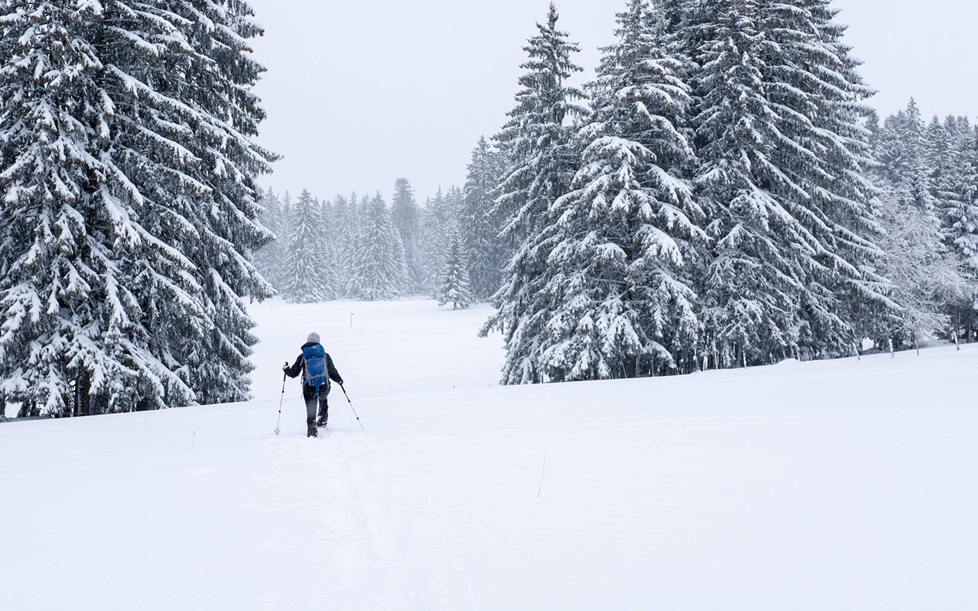 Schneeschuhlaufen © Matthias Sorg